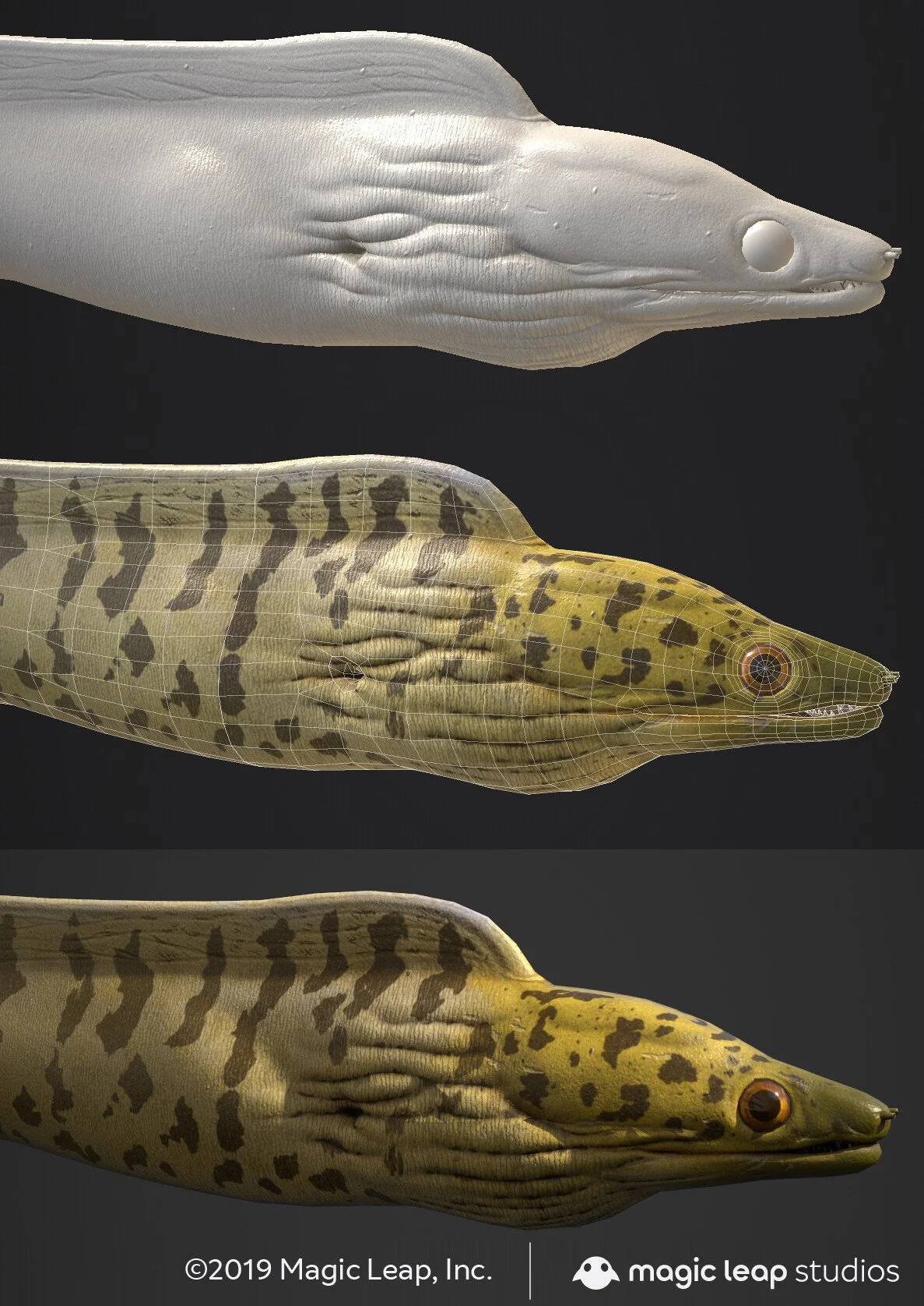udell-infante-us-moray-eel.jpg