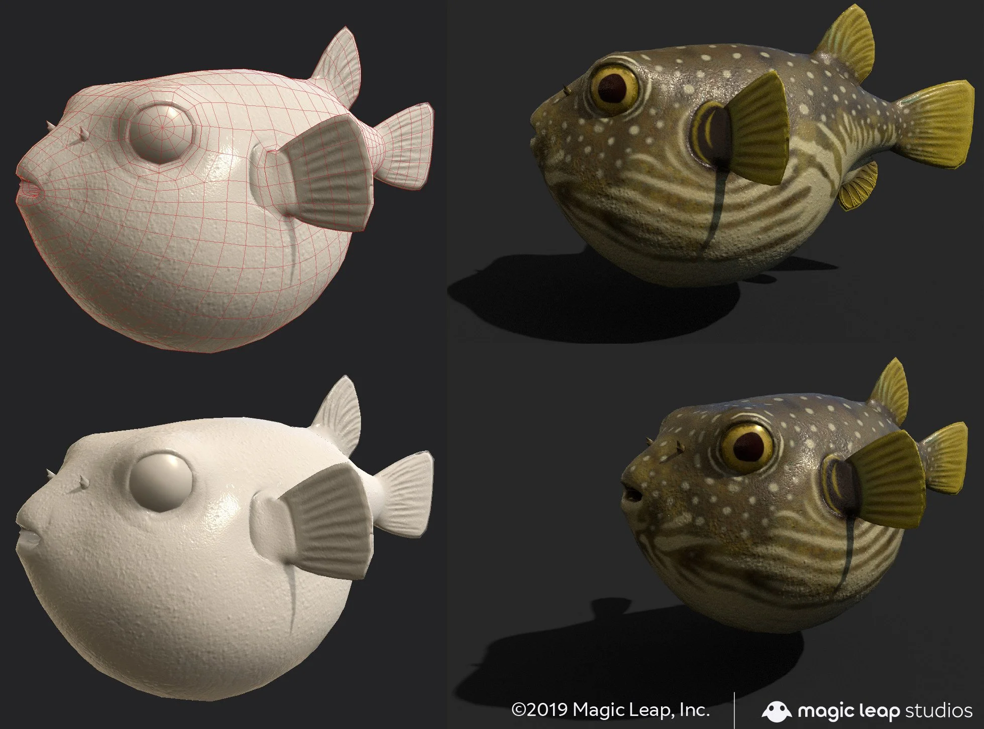 udell-infante-us-pufferfish-2(1).jpg
