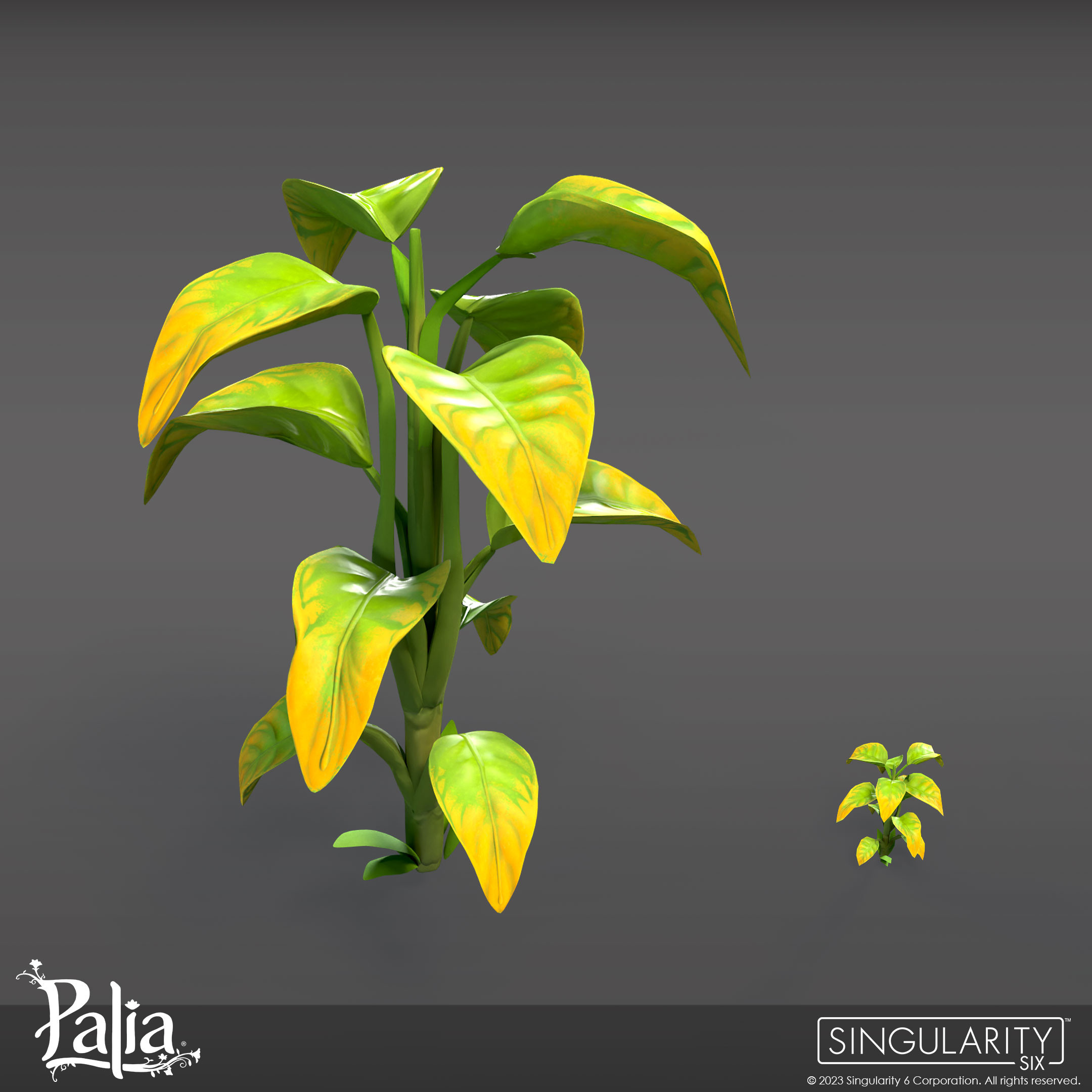 sean-couture-sweetleaves.png