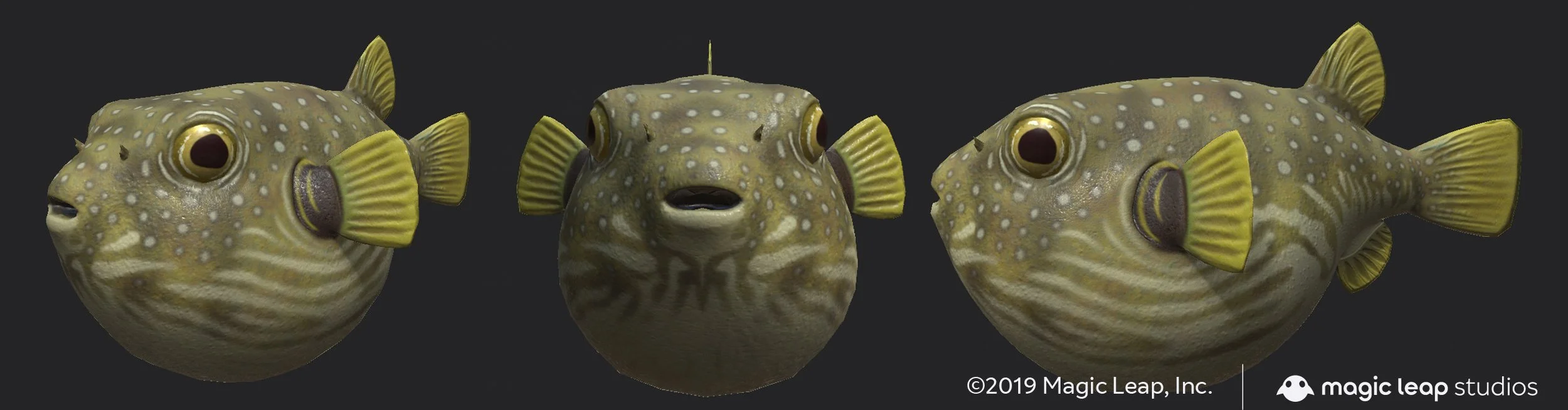 udell-infante-us-pufferfish.jpg