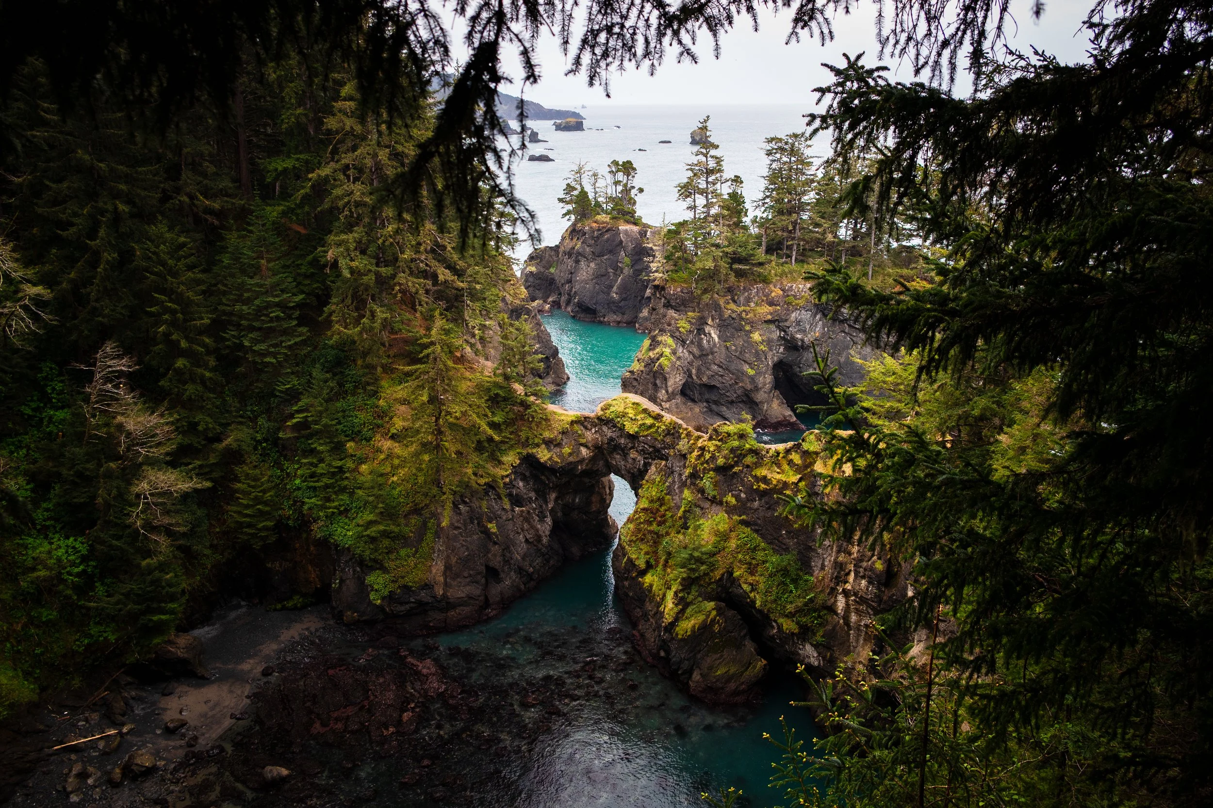 DSC_7003-2.jpg