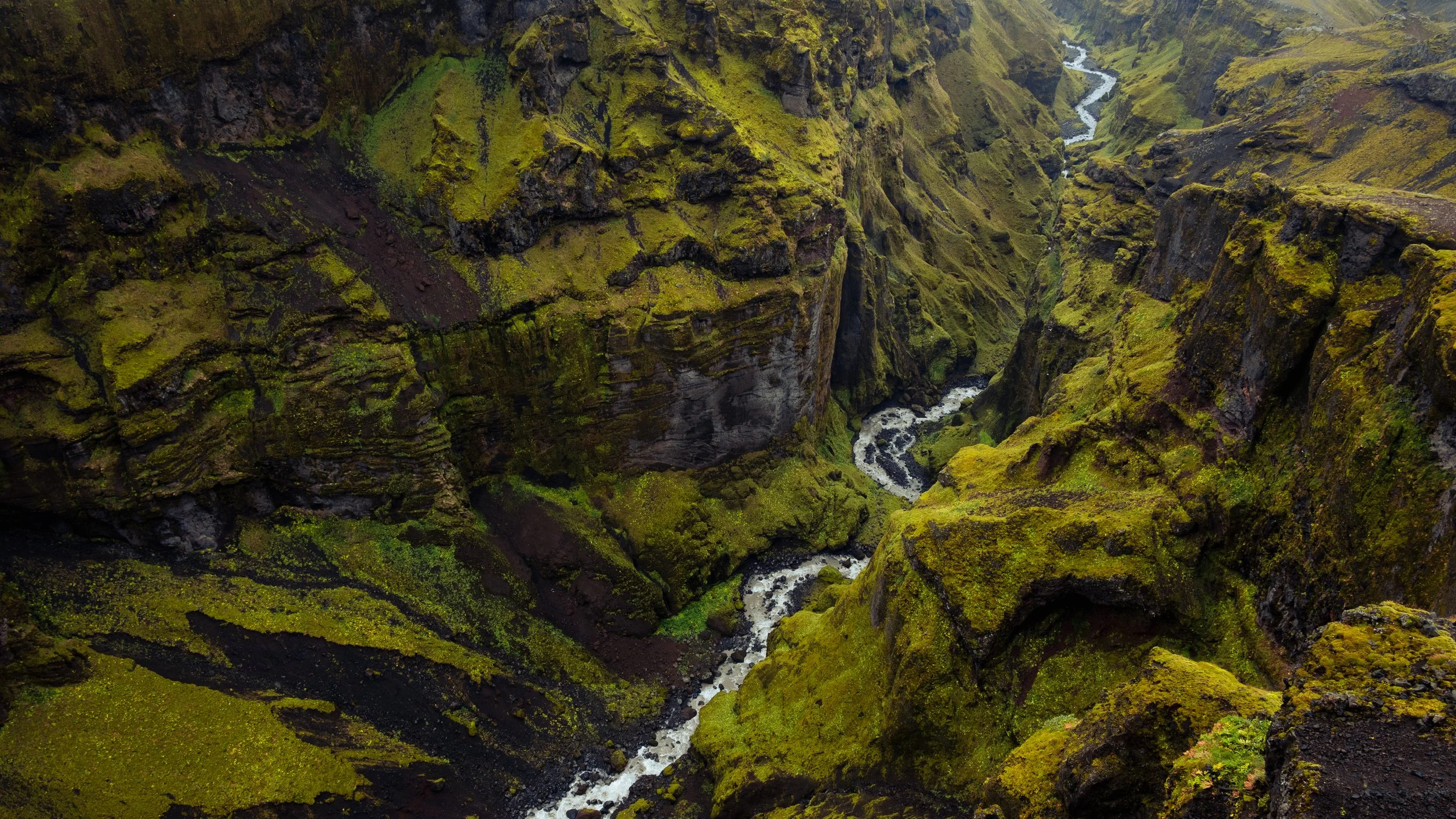 DSC_6506-2.jpg