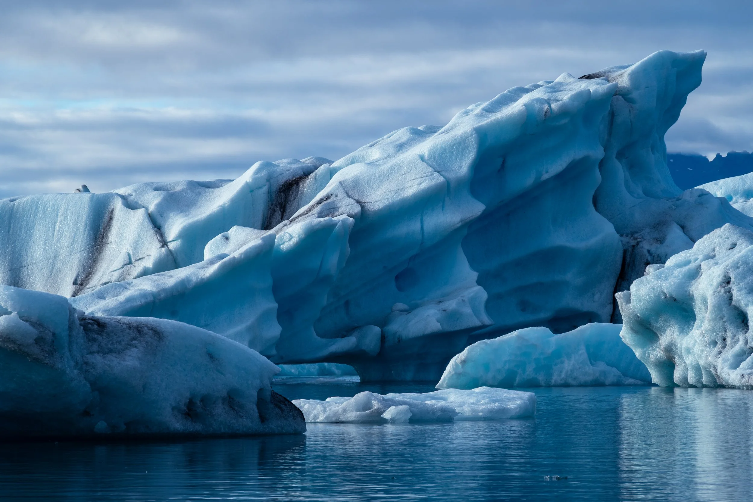 DSC_7109-2.jpg