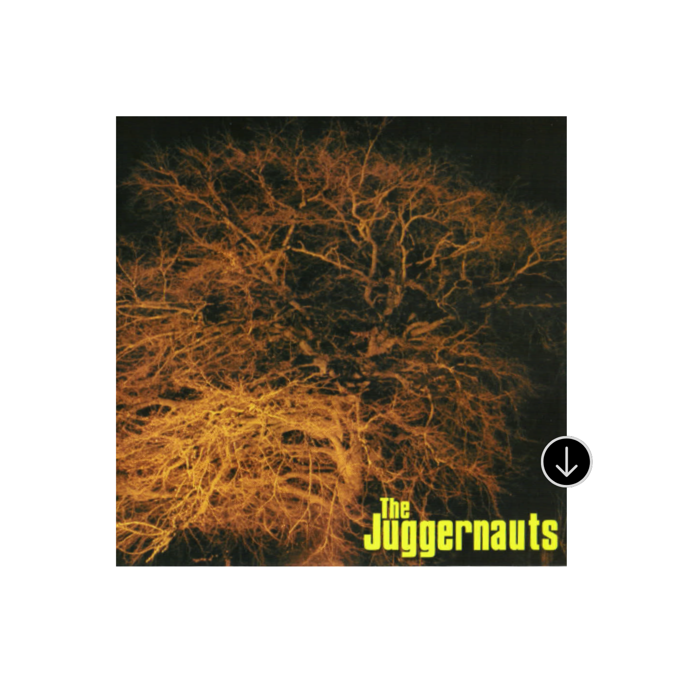 The Juggernauts - Digital Download