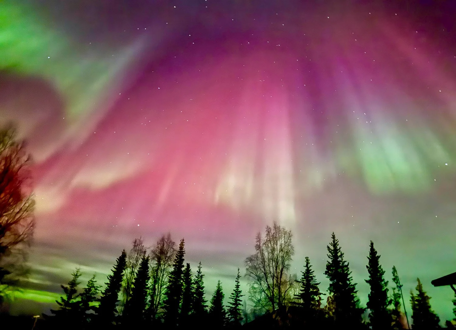 Pure gift - Northern Light Dance