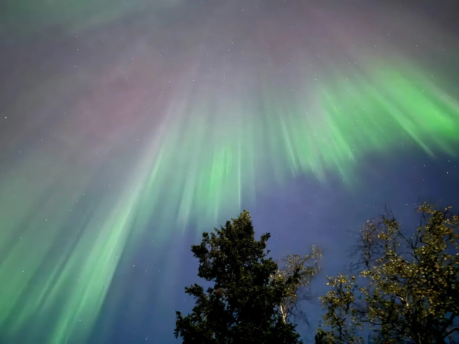 Northern Light Dance