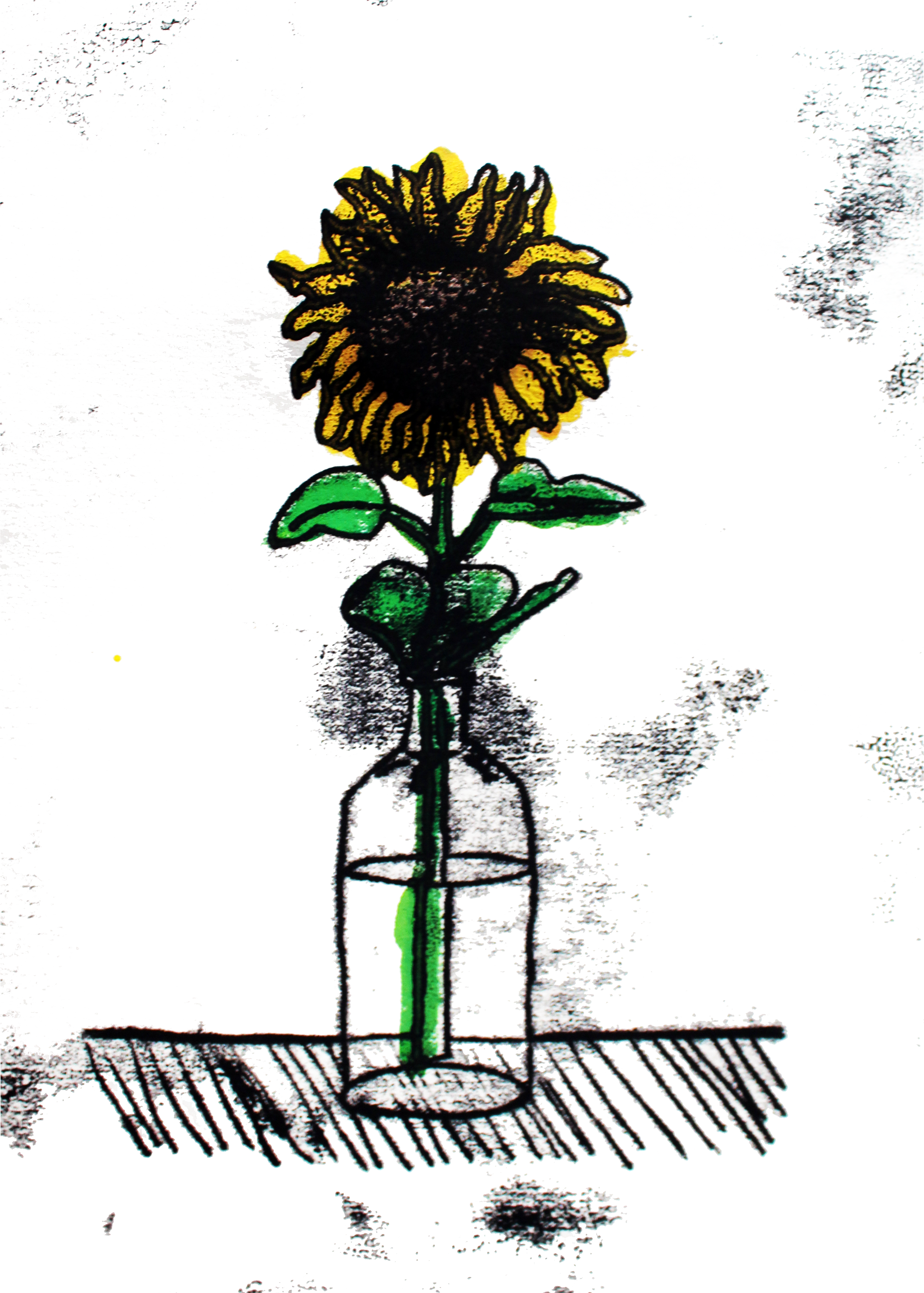 Sunflower2023-C (1).png