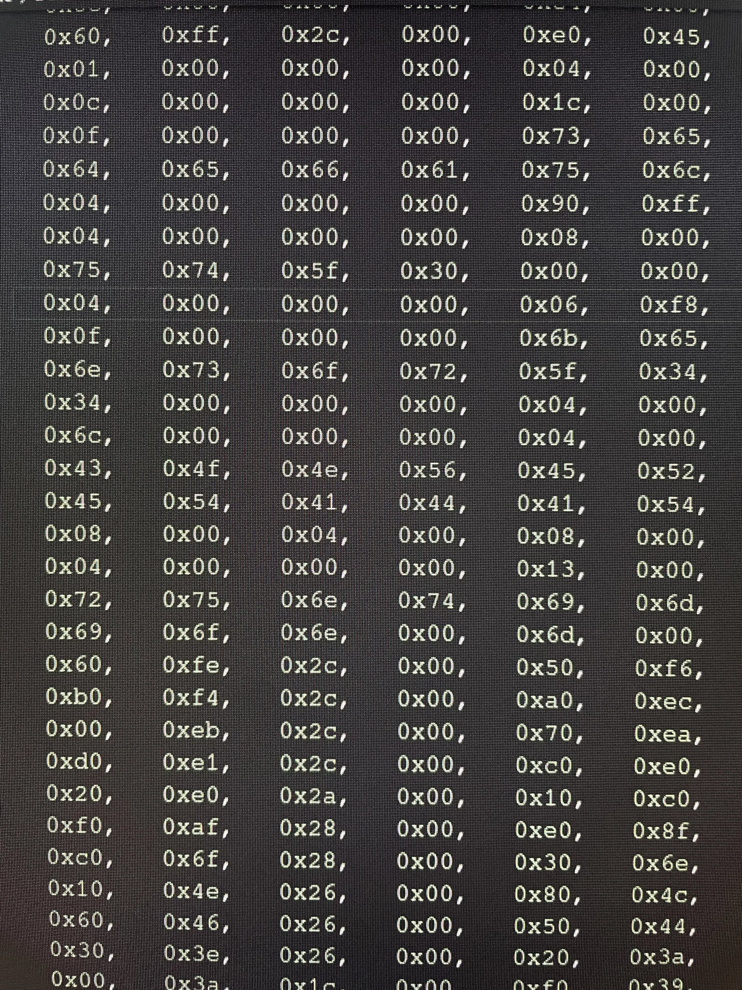 Close-up image of a computer screen displaying hexadecimal code in white text on a black background.