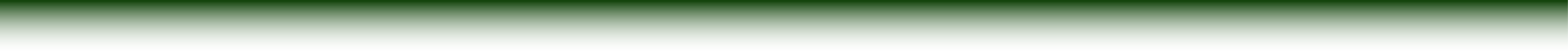 A green horizontal toolbar or banner.