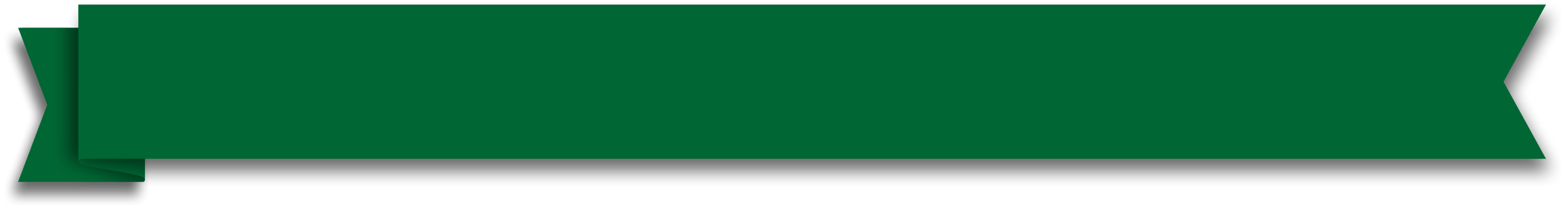 Green school ribbon badge with black border and pointed ends.