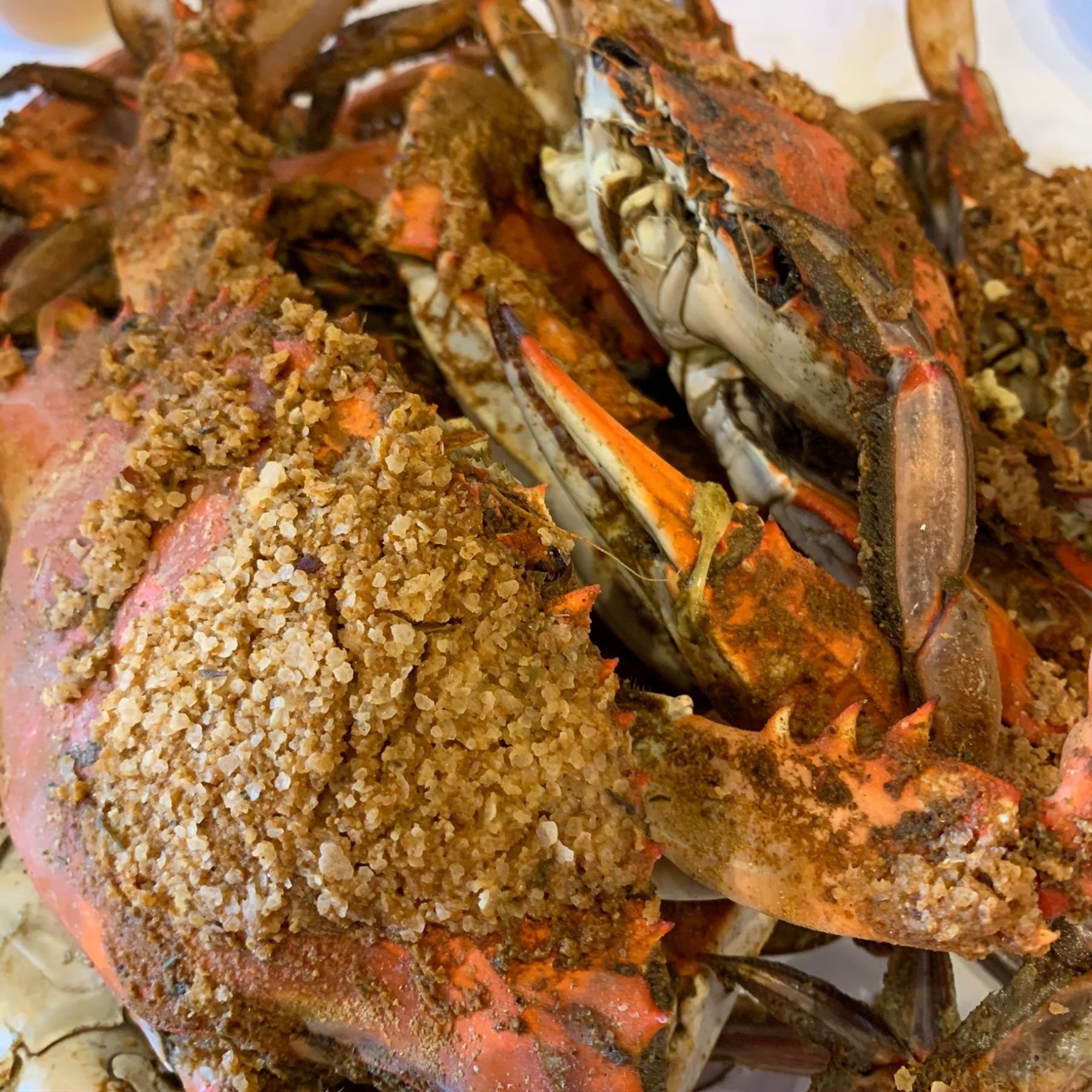 Macro shot of blue crab dish covered in Old Bay seasoning taken at a seafood restaurant