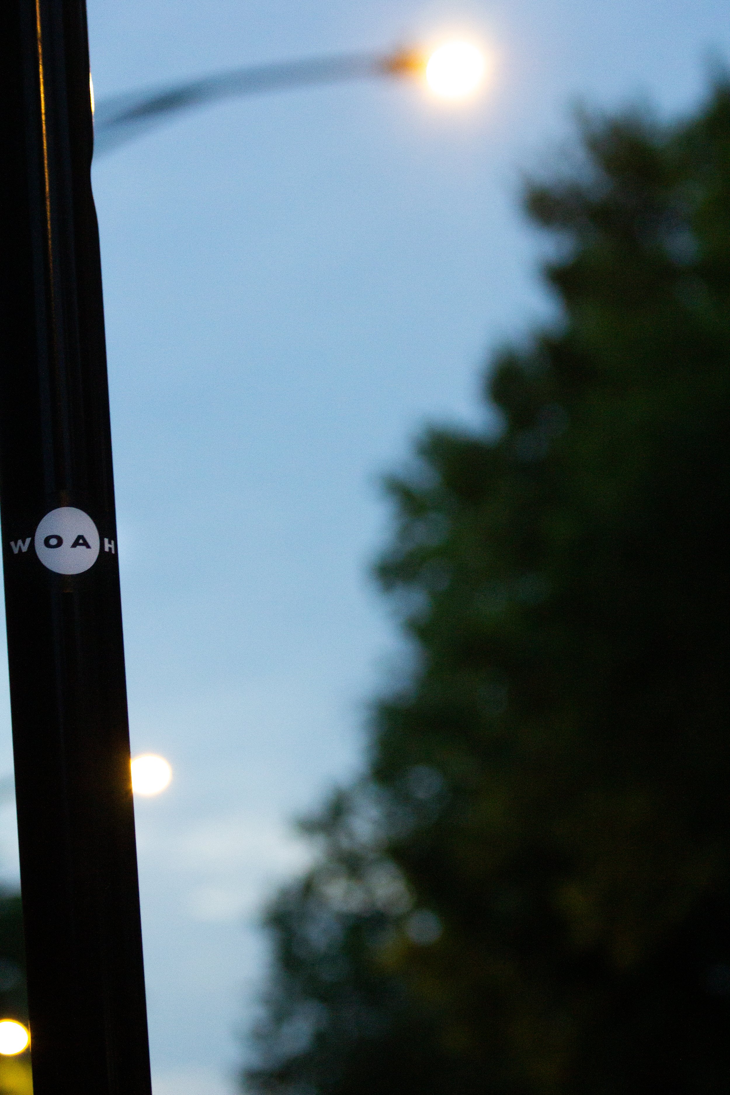 Woah Sticker