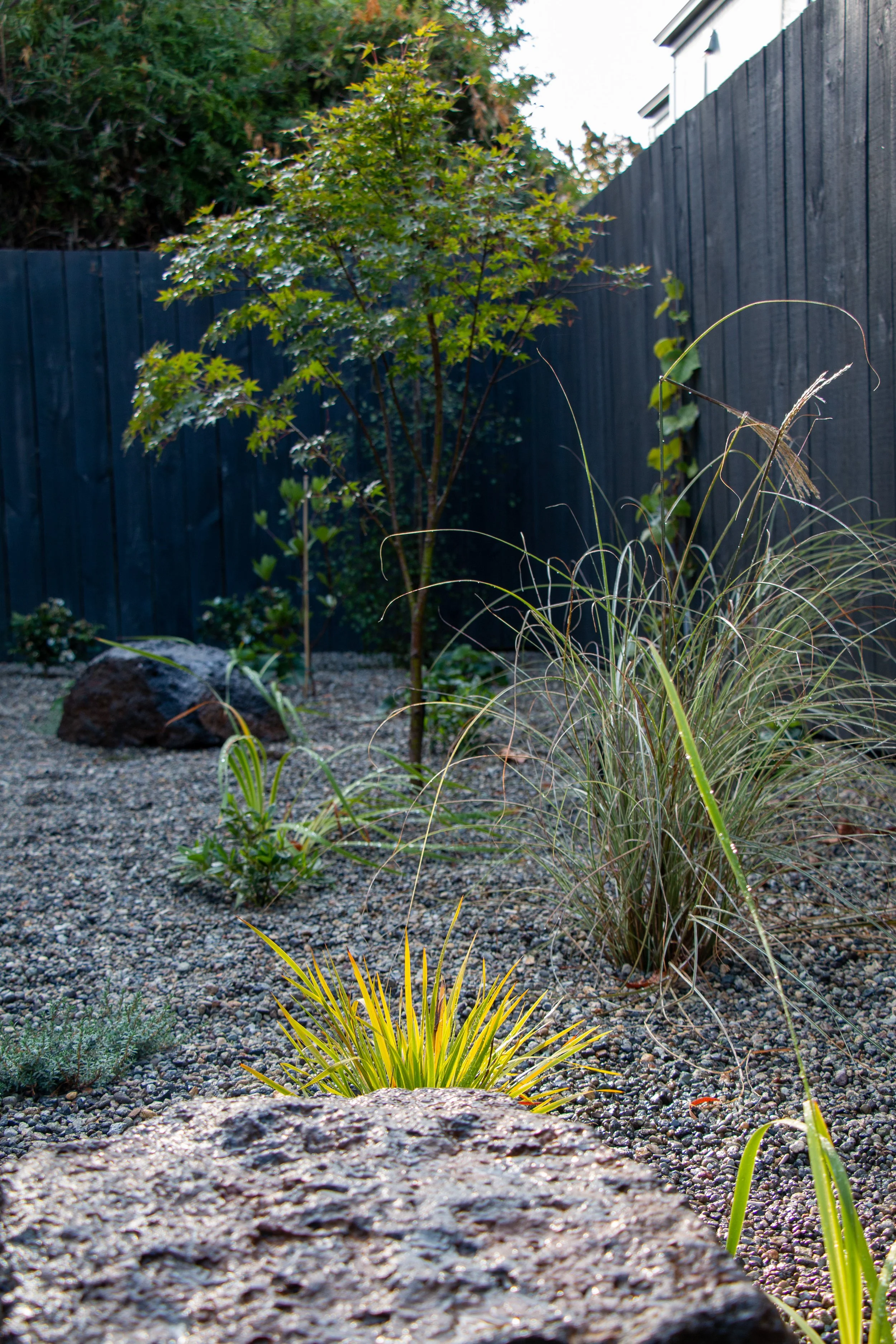 A backyard garden with various plants, rocks, and a black wooden fence.