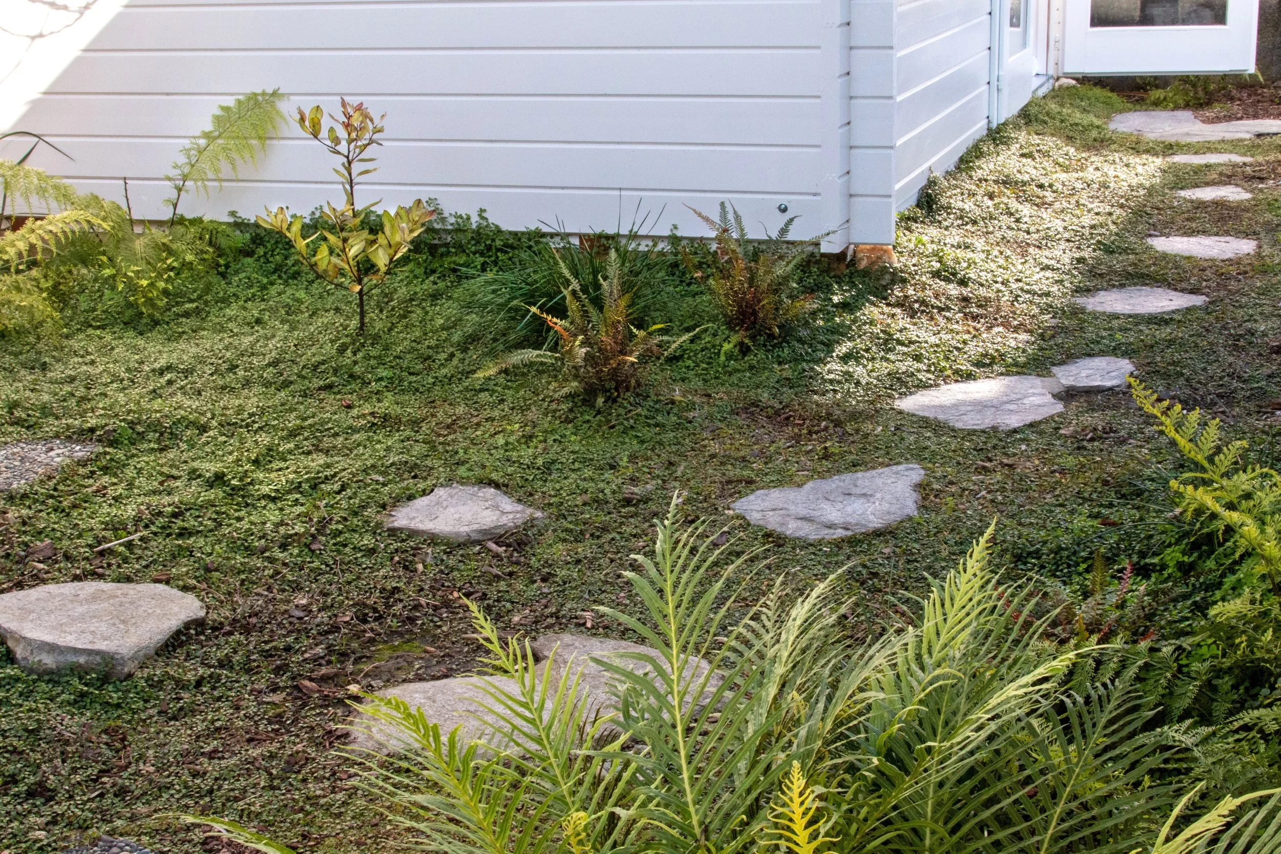 Stone pathway leading to a white house with plants and grass surrounding it.