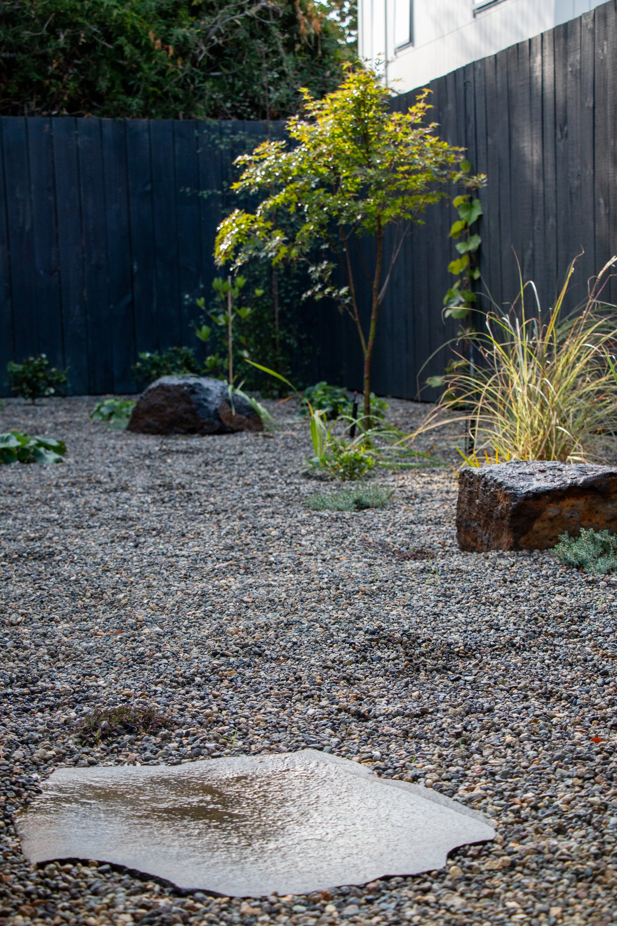 A small backyard with a simple landscape design featuring gravel ground cover, a few rocks, and various small plants, including a young tree, amidst a black wooden fence.