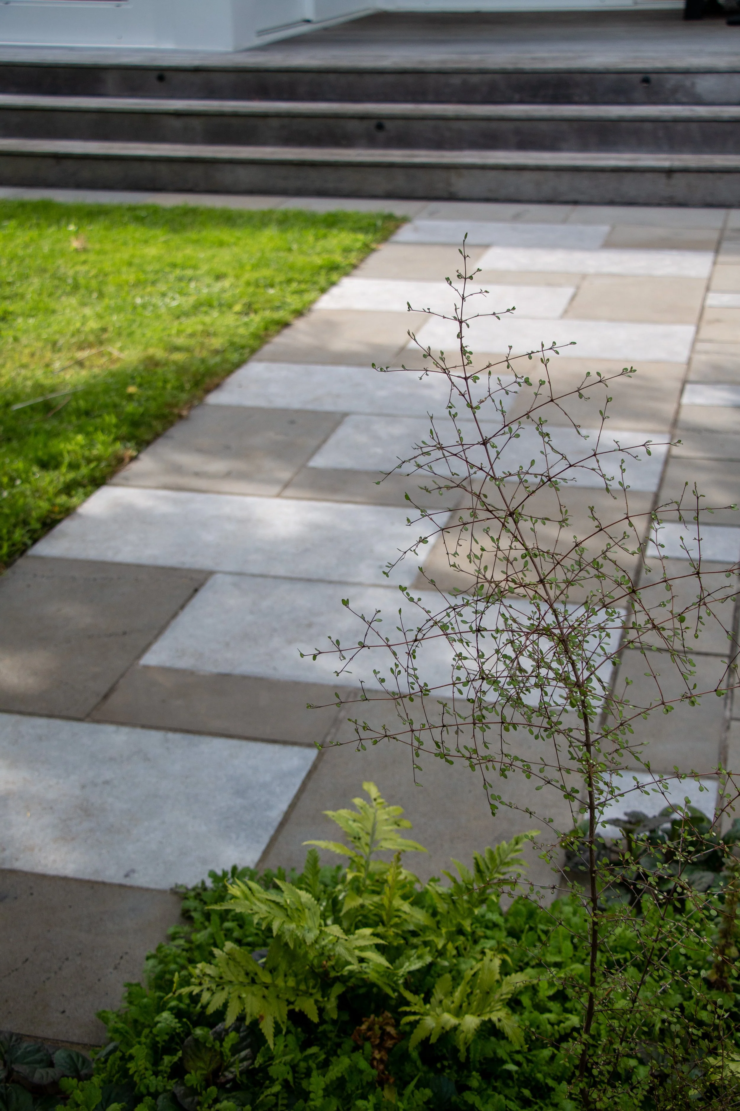 A stone pathway runs beside green grass and a variety of plants, leading up to a set of steps.