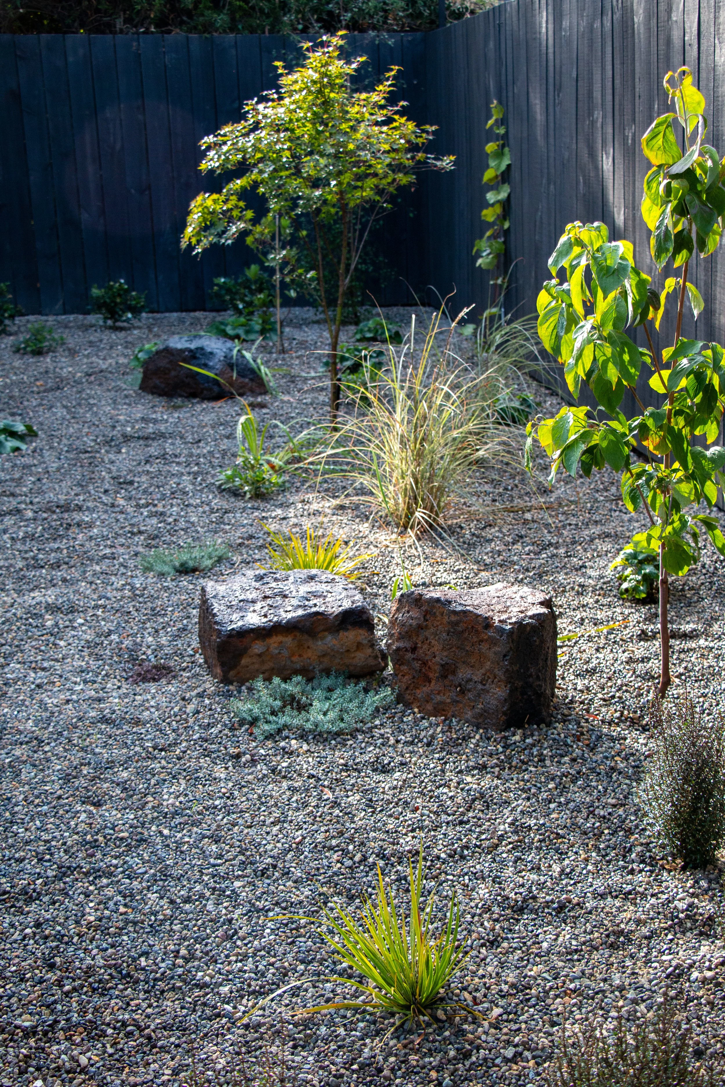 A xeriscape garden with gravel ground, rocks, and various drought-tolerant plants and small trees enclosed by a dark wooden fence.