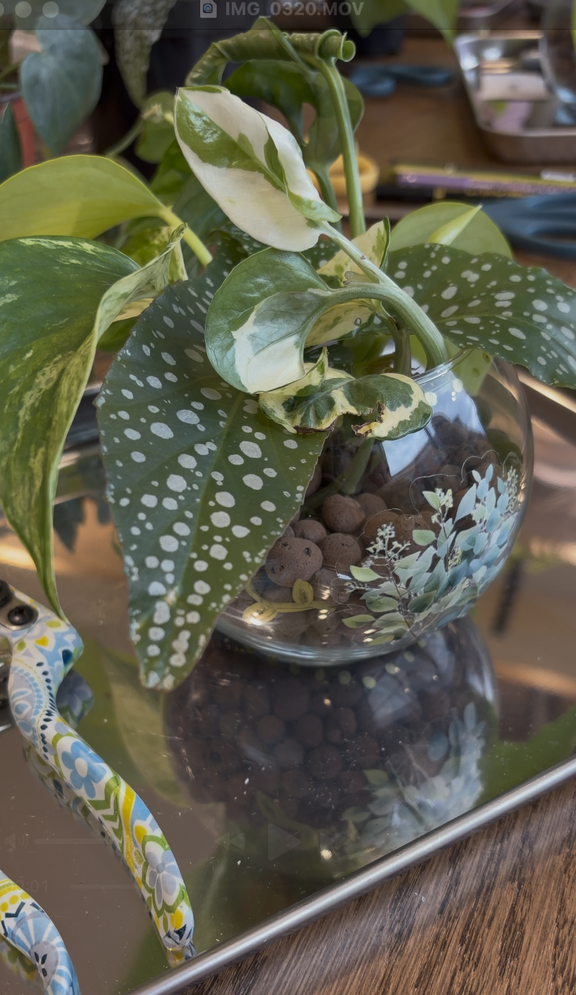 CURE Foundation × Atelier Maison Verte: Ladies’ Night Botanical Propagation Atelier | Ottawa.png