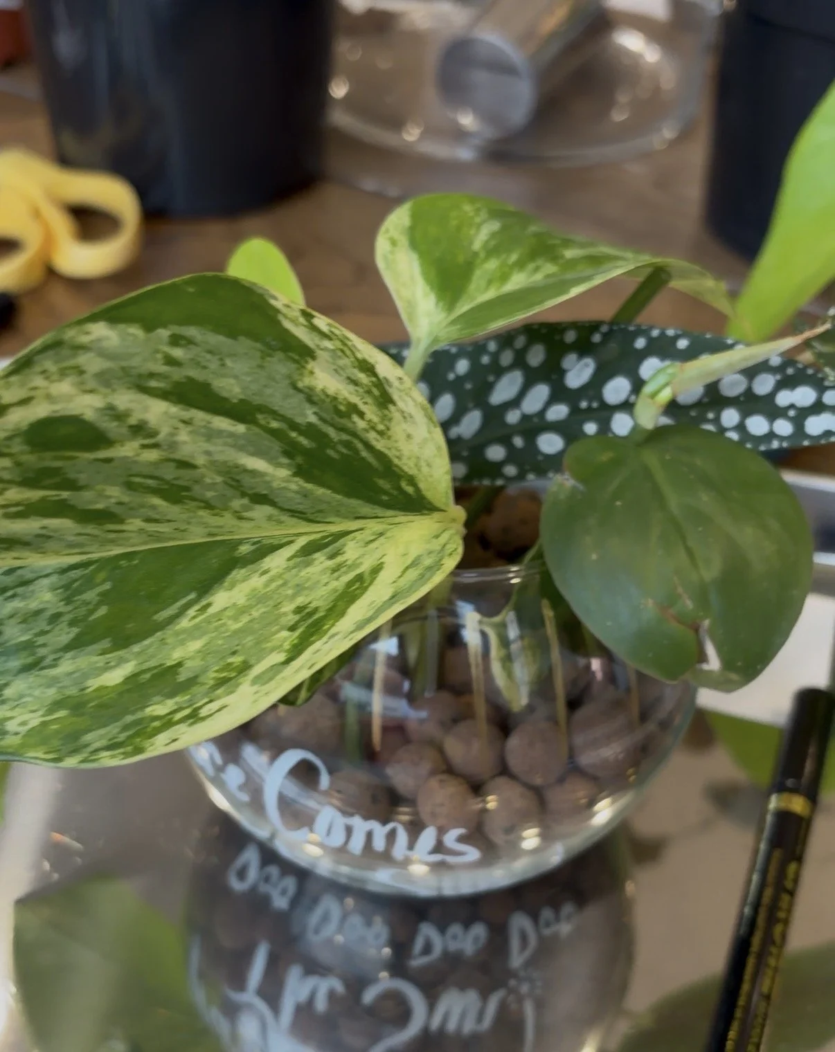 Atelier Maison Verte - Children's Potting & Planting Workshop Ottawa
