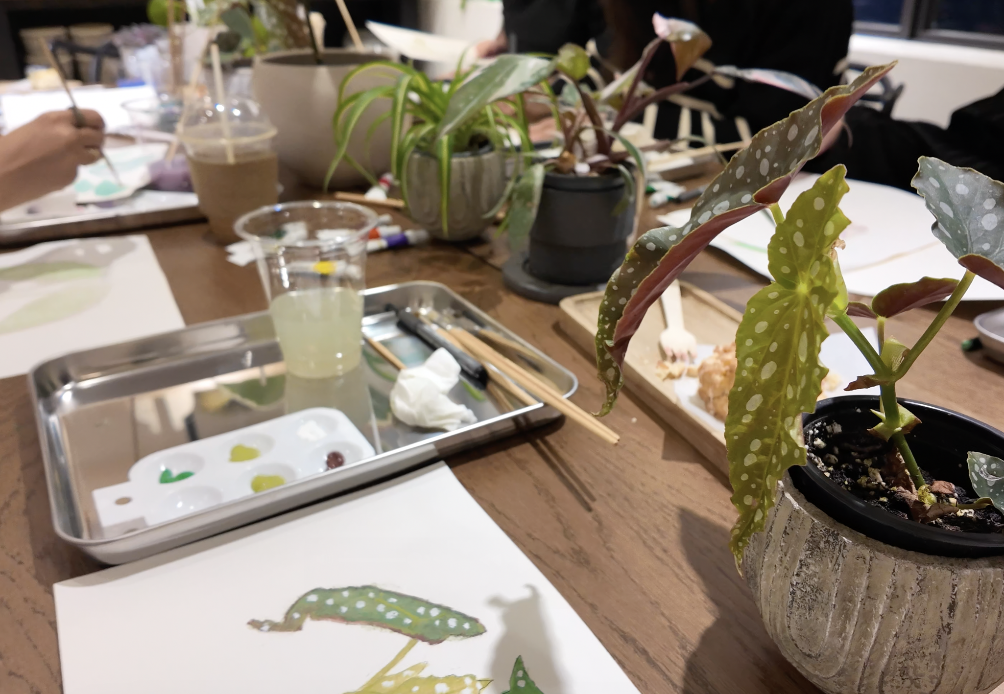 Screenshot 2026-03-01 at 8.14.38 PM.png