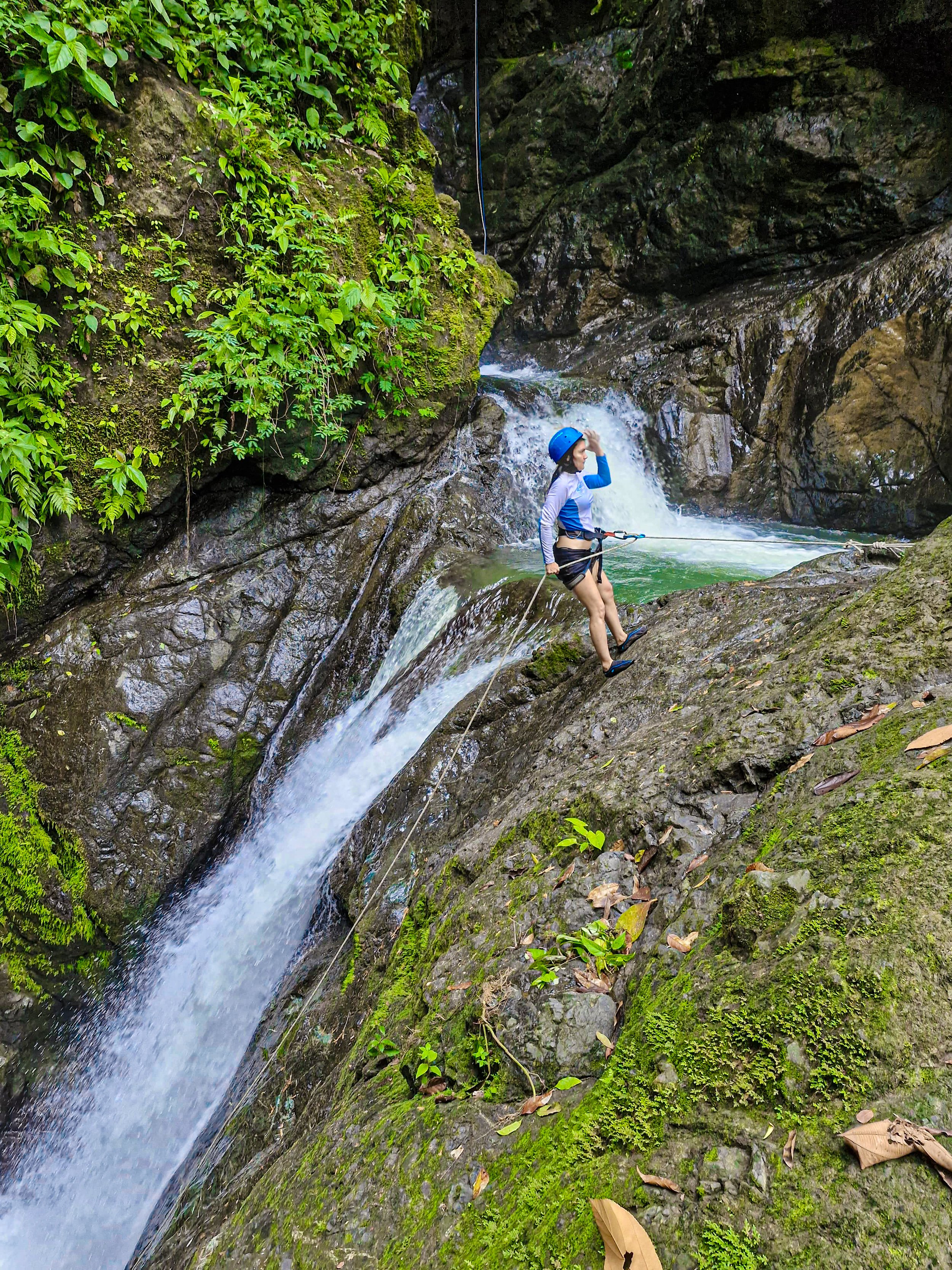 Stephania - bd4ddba1-9607-4ae9-b44f-4784b443141d.jpeg