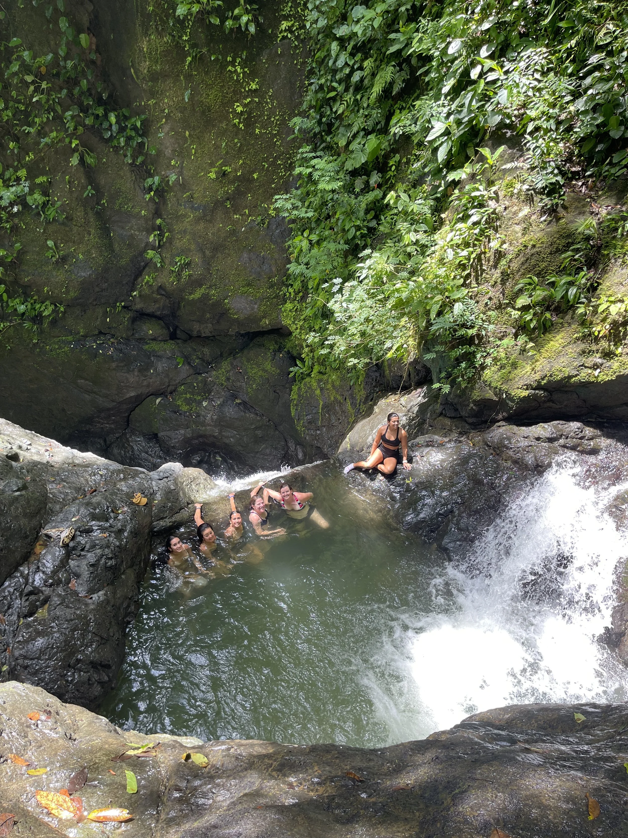 Stephania - IMG_5205.jpeg (Copy)