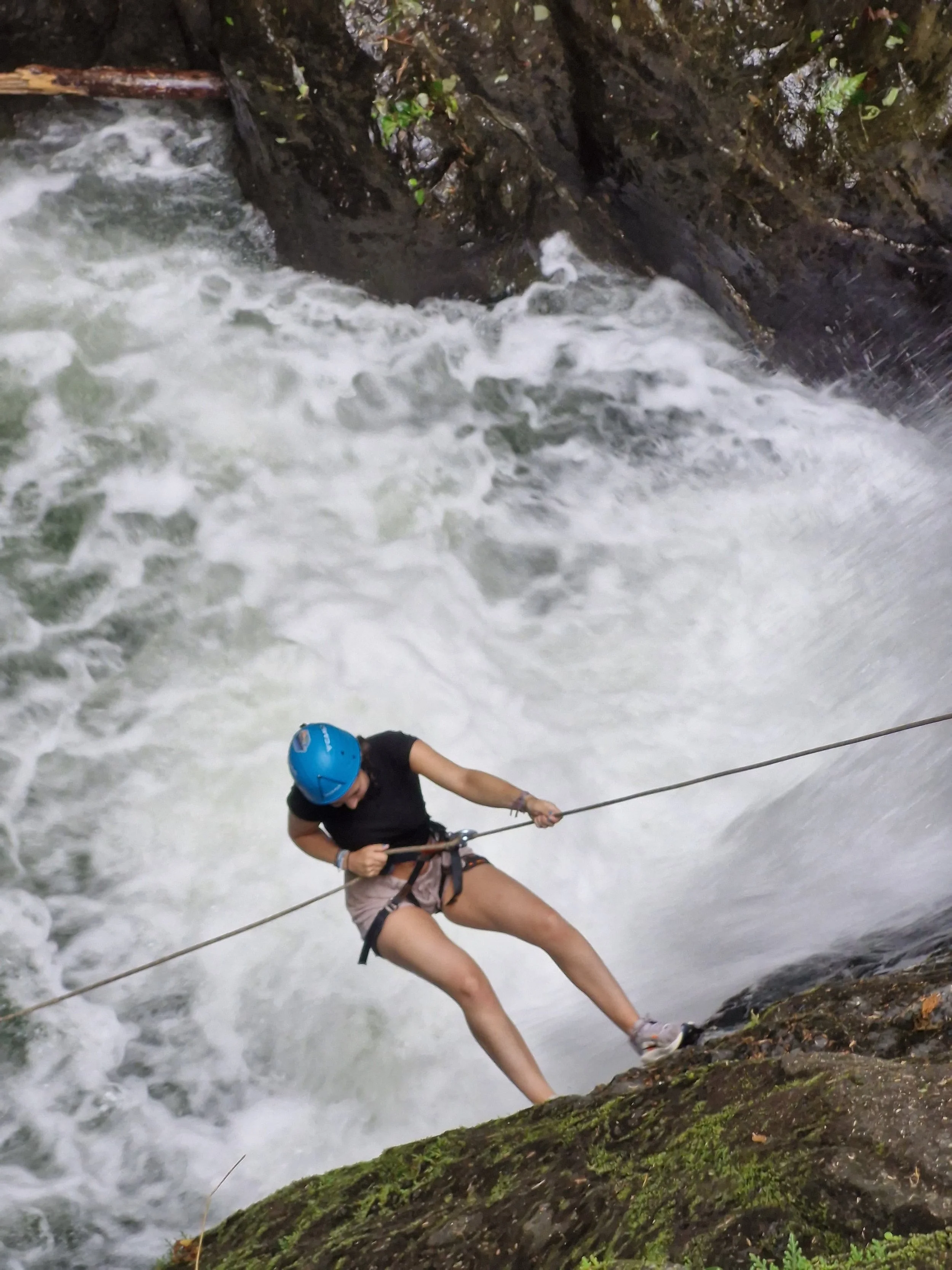 Stephania - f0c06cb3-a7d7-4a83-abf3-f01e12ff2986.jpeg