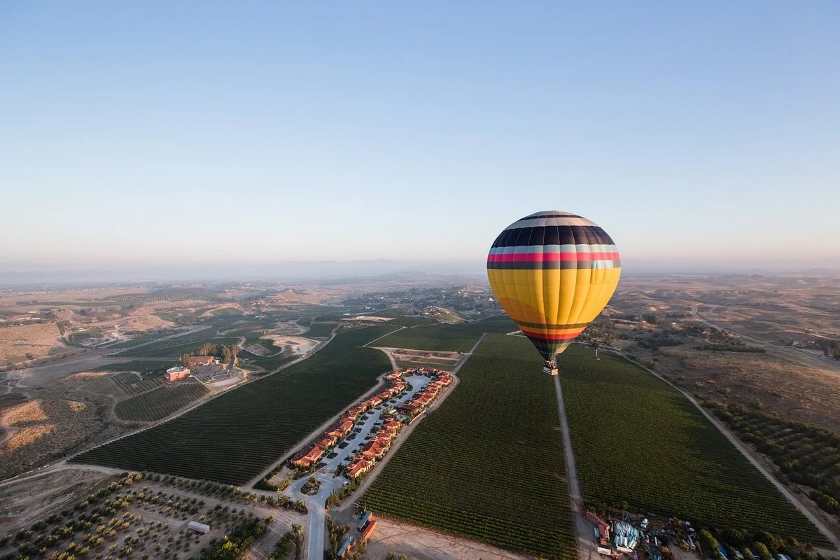 A hot air balloon with black, red, pink, and yellow stripes floating over farmland and vineyards.
