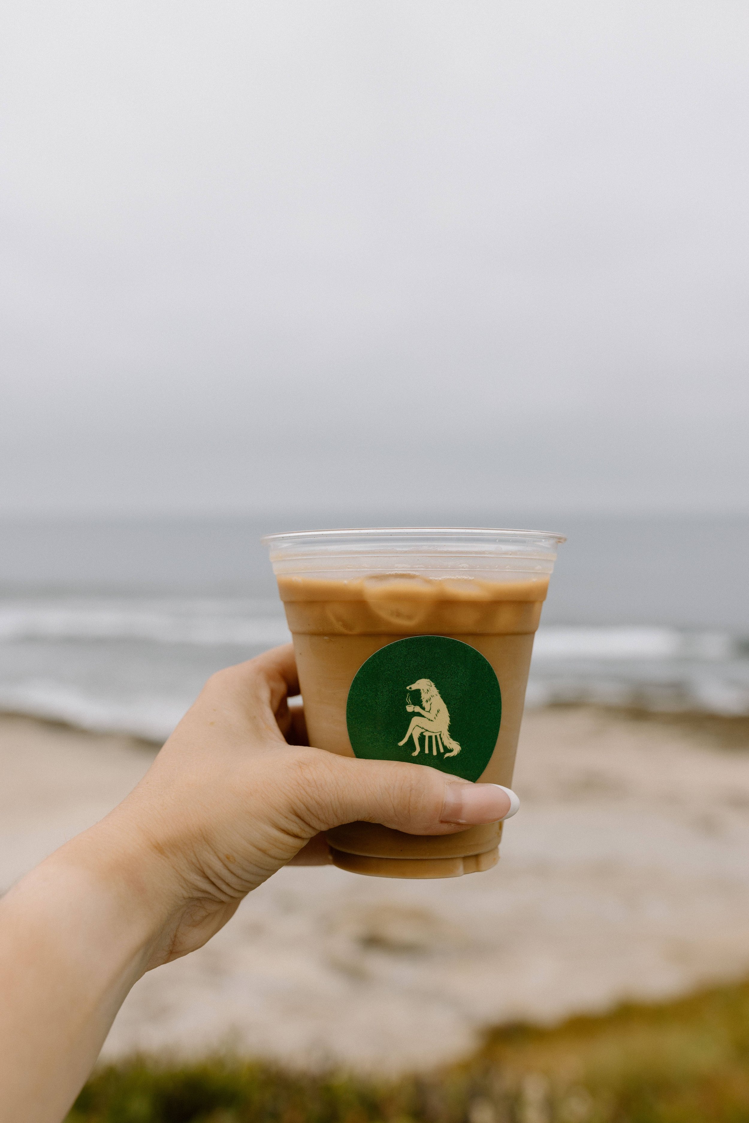 A hand holding a plastic cup of iced coffee with a green logo featuring a seated lion drinking from a cup, set against a beach and overcast sky.