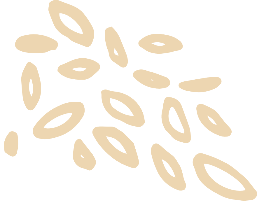 Pumpkin seeds scattered on a black background.