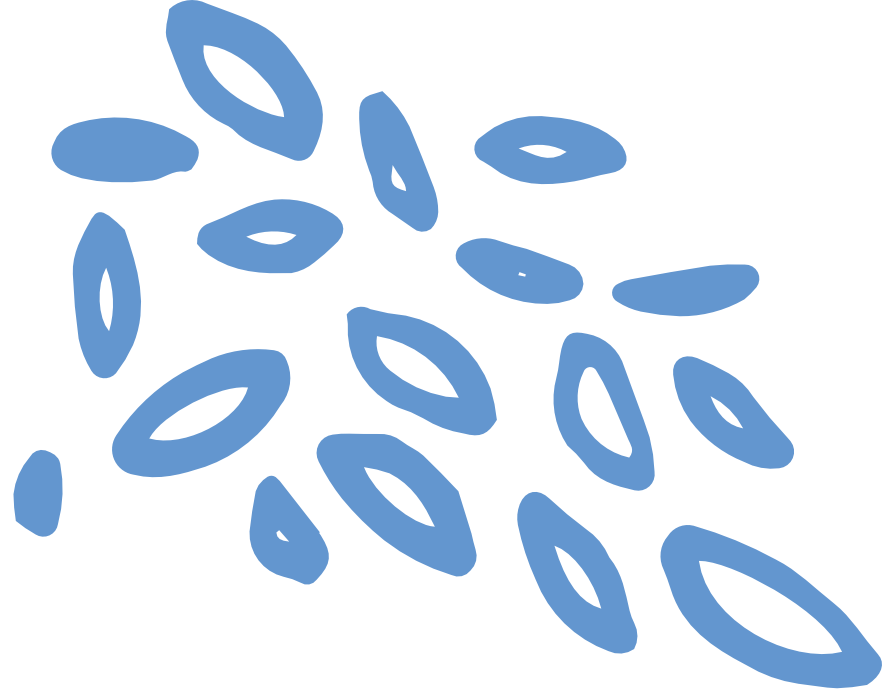 A collection of elongated, blue, oval-shaped seeds scattered randomly.