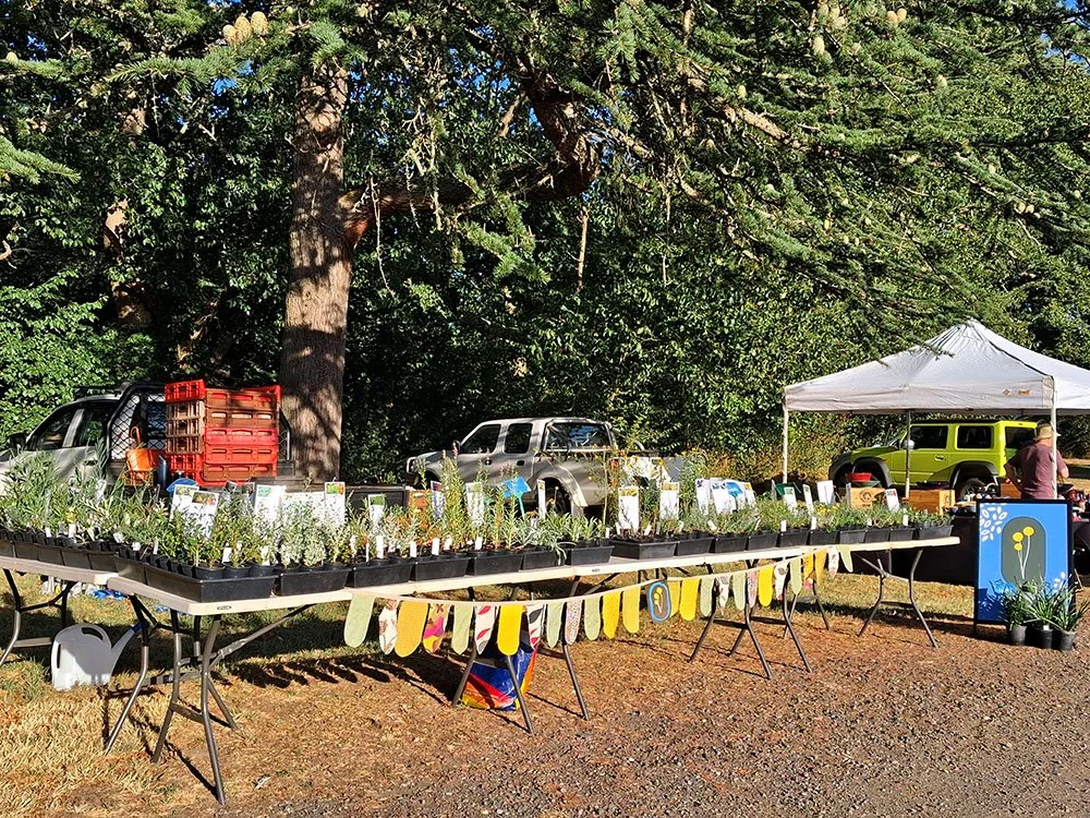 Outdoor plant sale table with small potted plants, a tent, a banner, and parked vehicles in the background under tall trees.