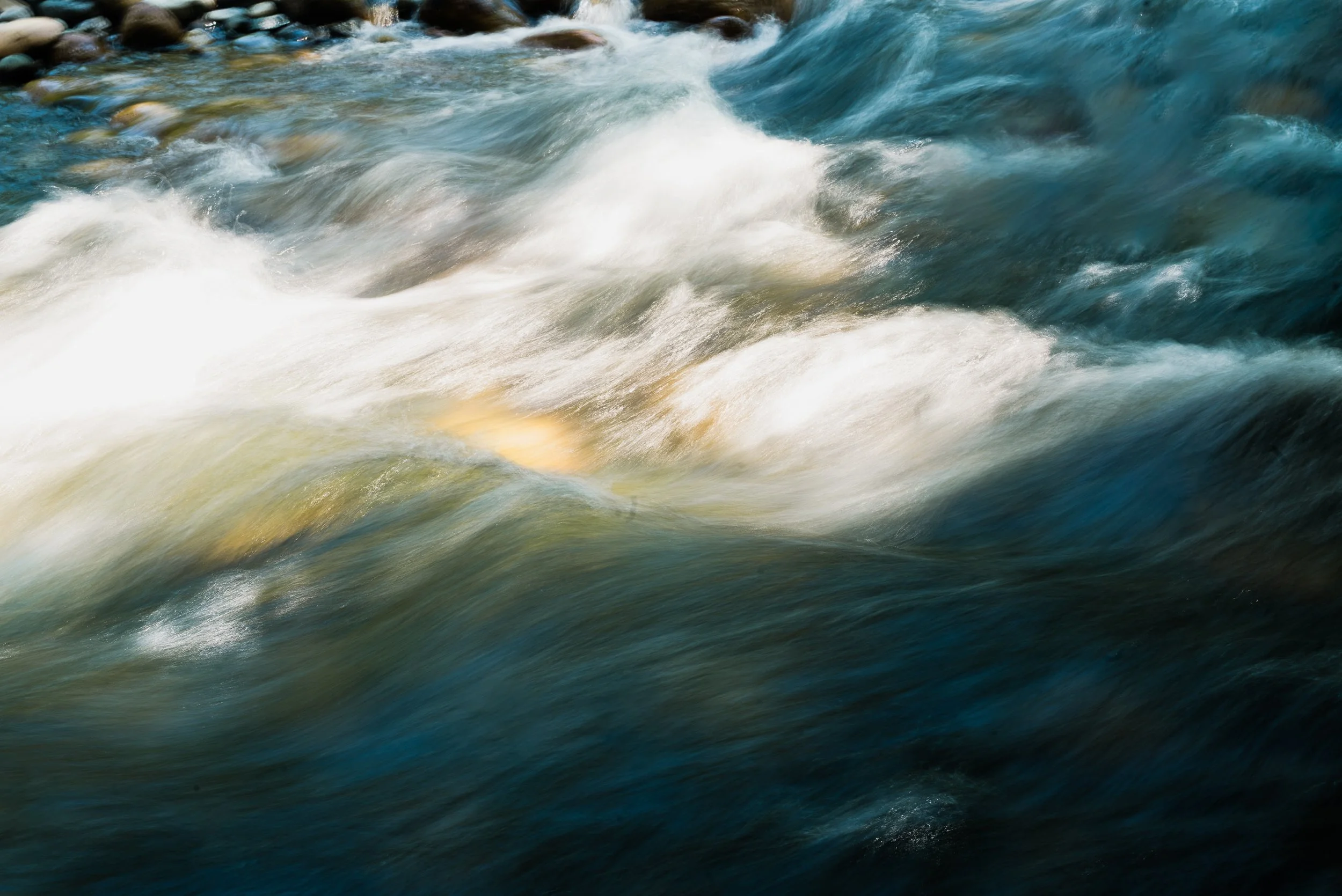 Pacific Northwest-4.jpg