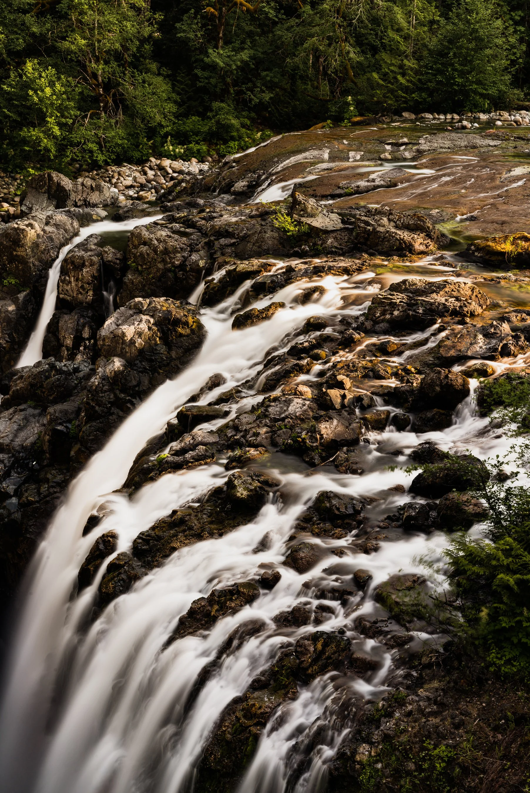 Pacific Northwest-2.jpg