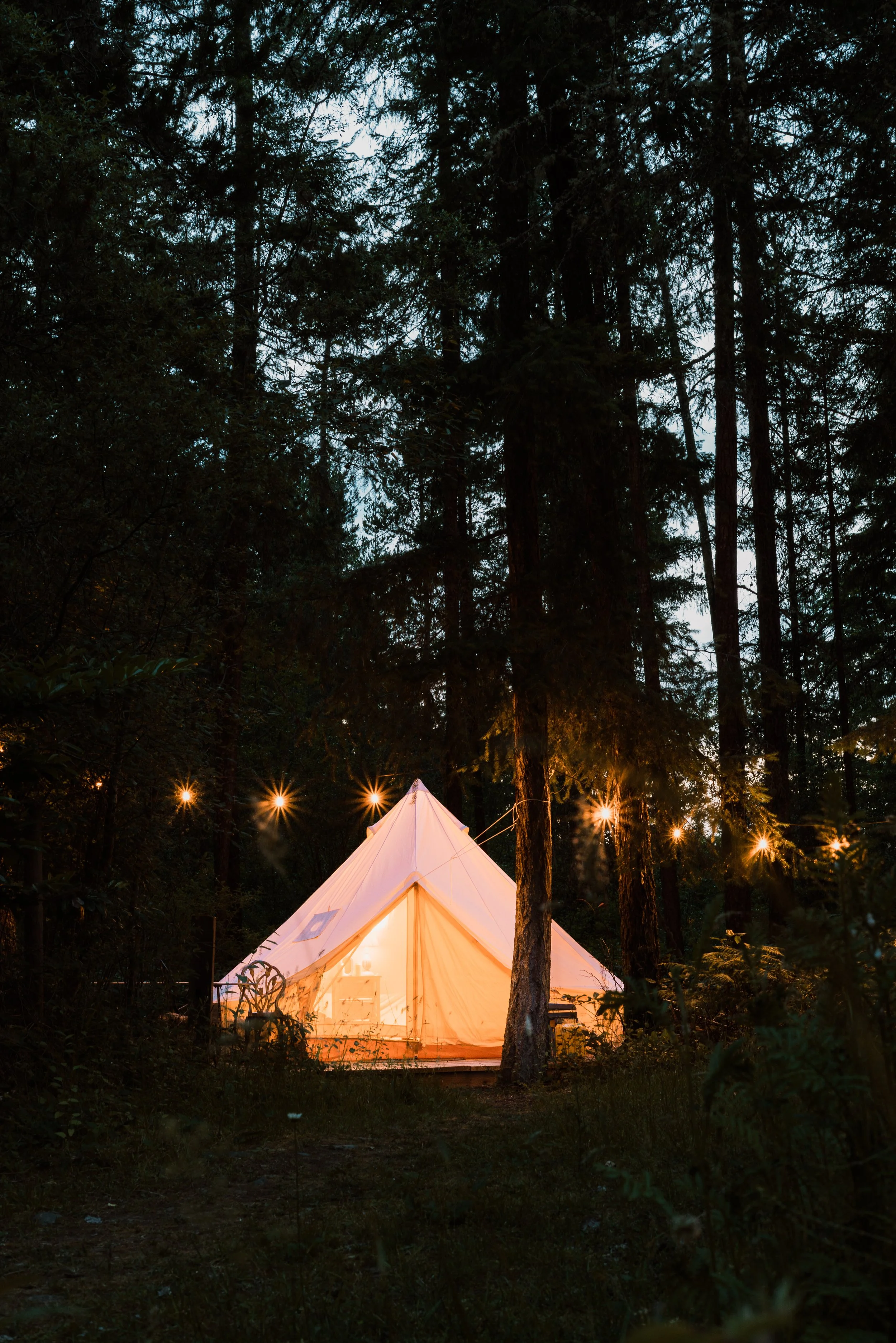 A glowing white tent illuminated from within, sitting on a wooden platform in a dense forest at dusk, with string lights hanging among tall trees.