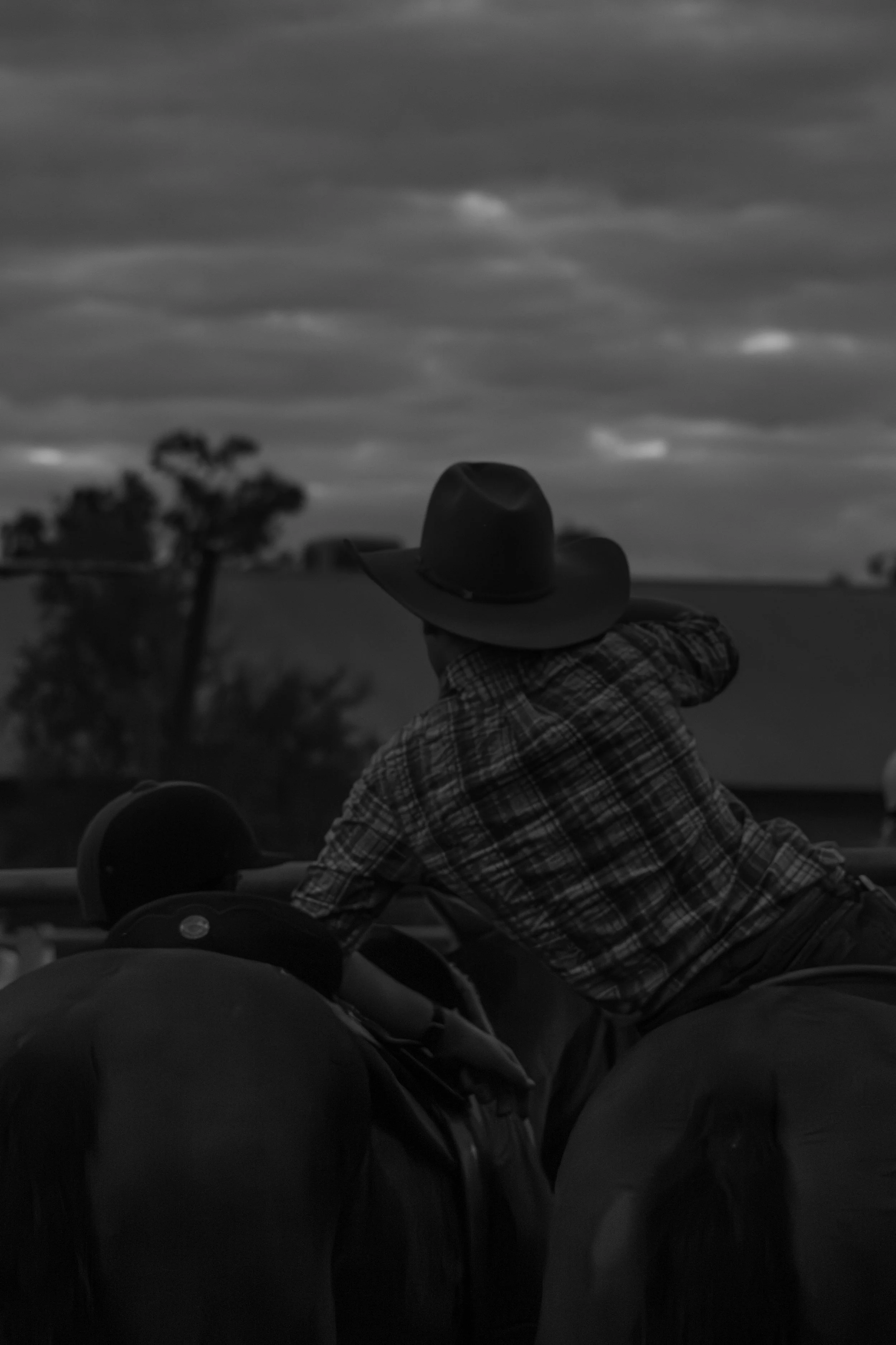 NS Campdraft'26 - JC photography -819.jpg