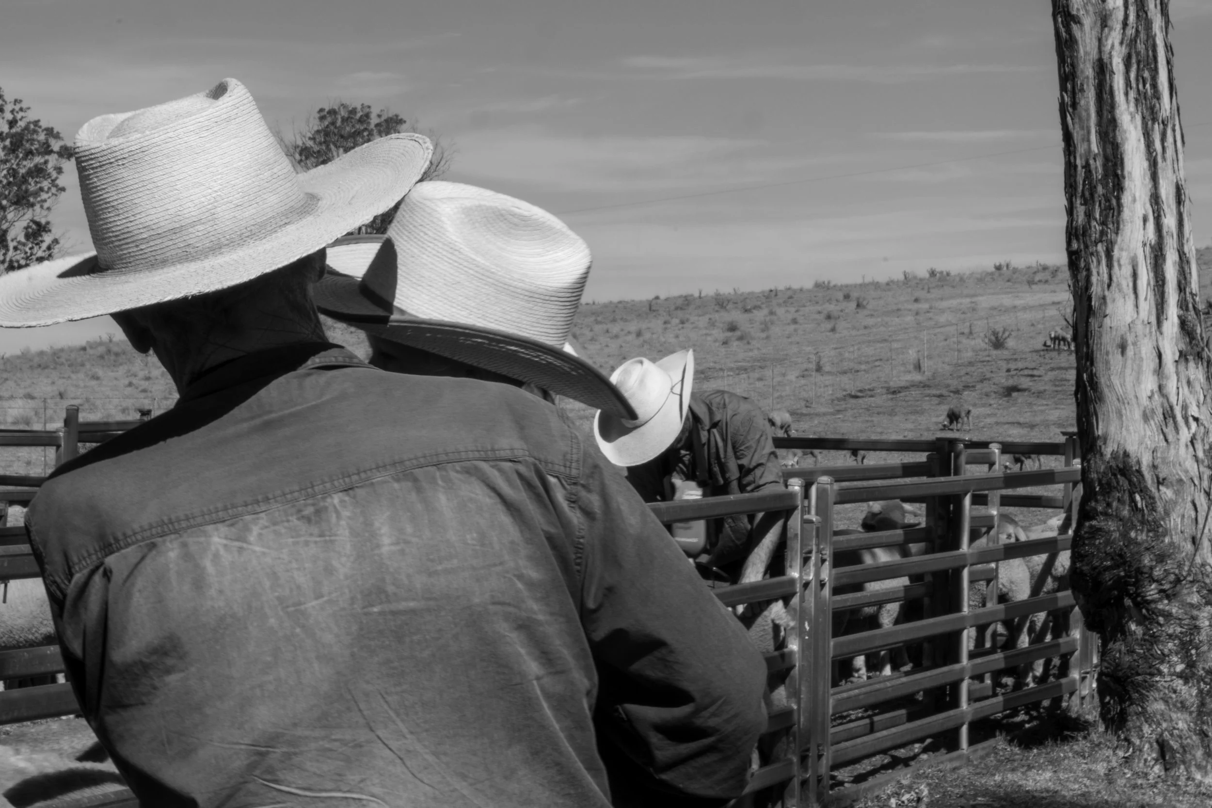 Two people wearing large wide-brimmed hats and jackets near a cattle pen, with a dry landscape and sparse trees in the background.
