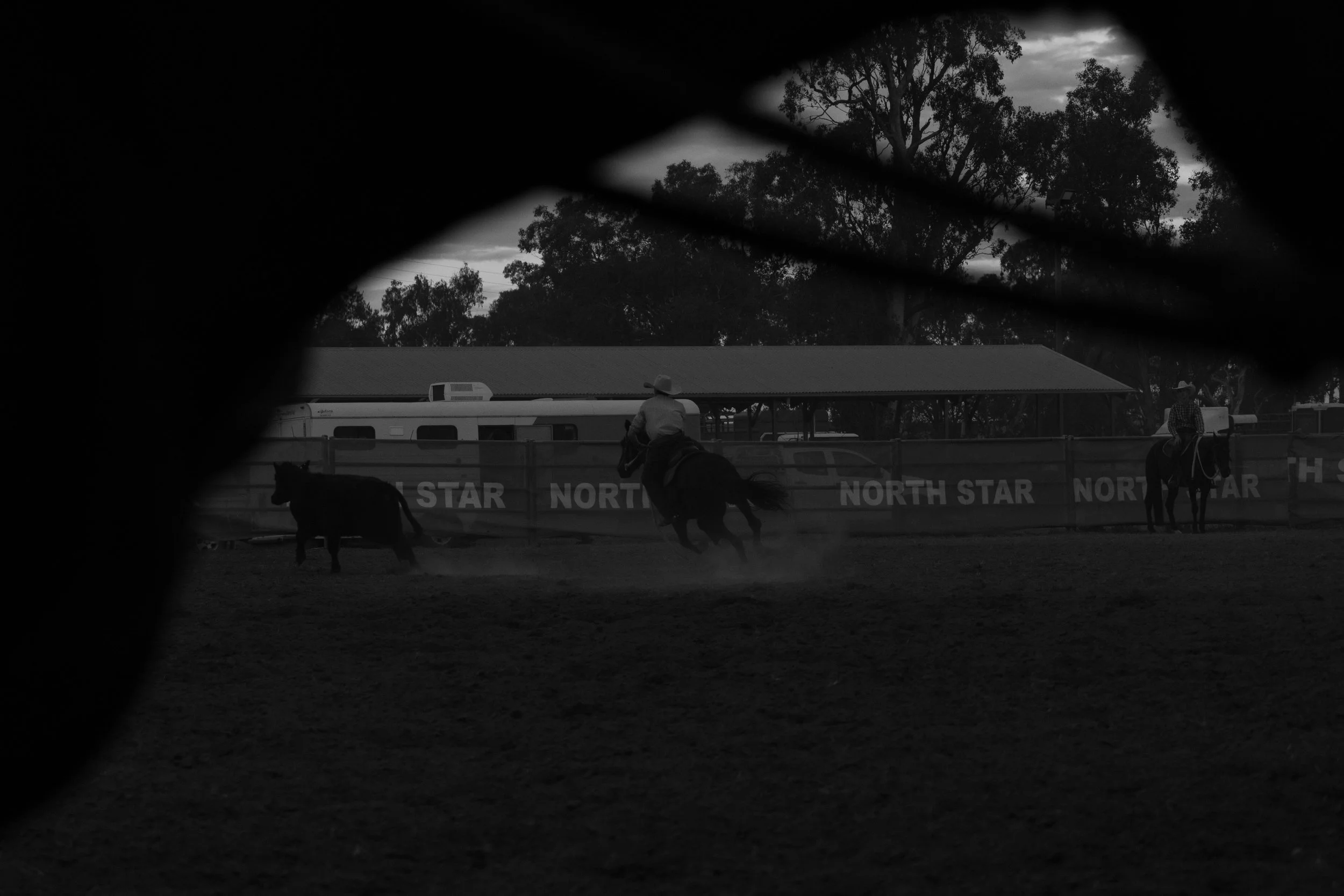 NS Campdraft'26 - JC photography -835.jpg