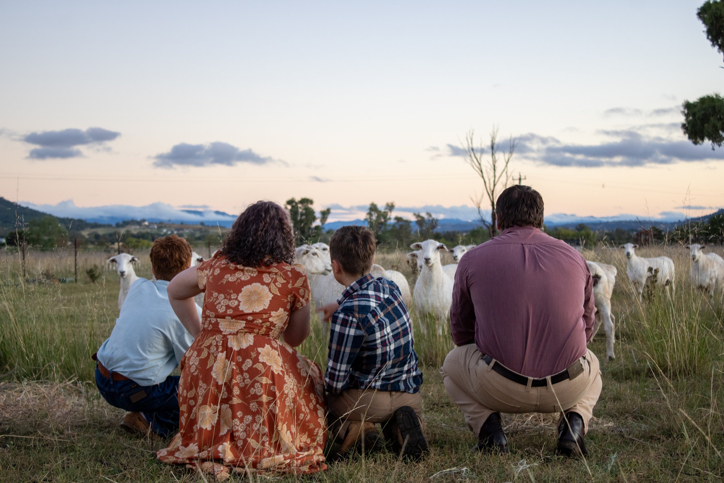 Family of four sitting on grass in a field with goats, watching the sunset in the distance.