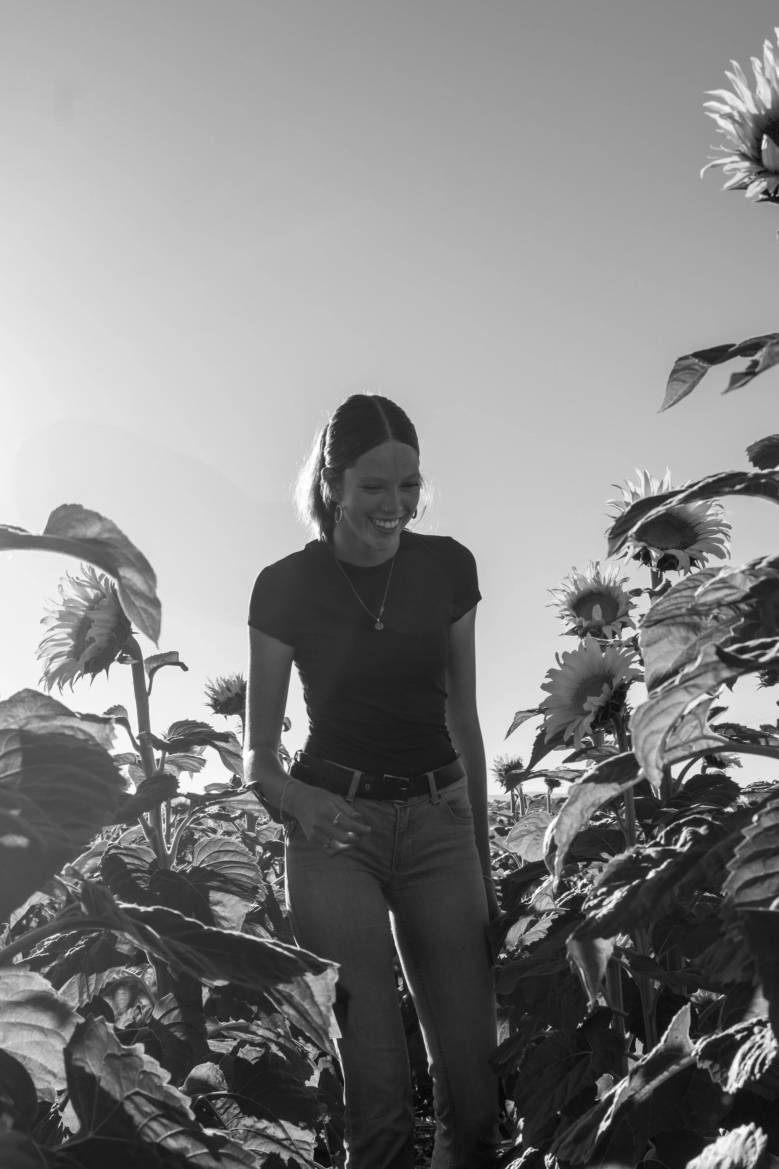 A woman smiling while standing among sunflowers in a field, black and white photo with the sun glowing in the sky.