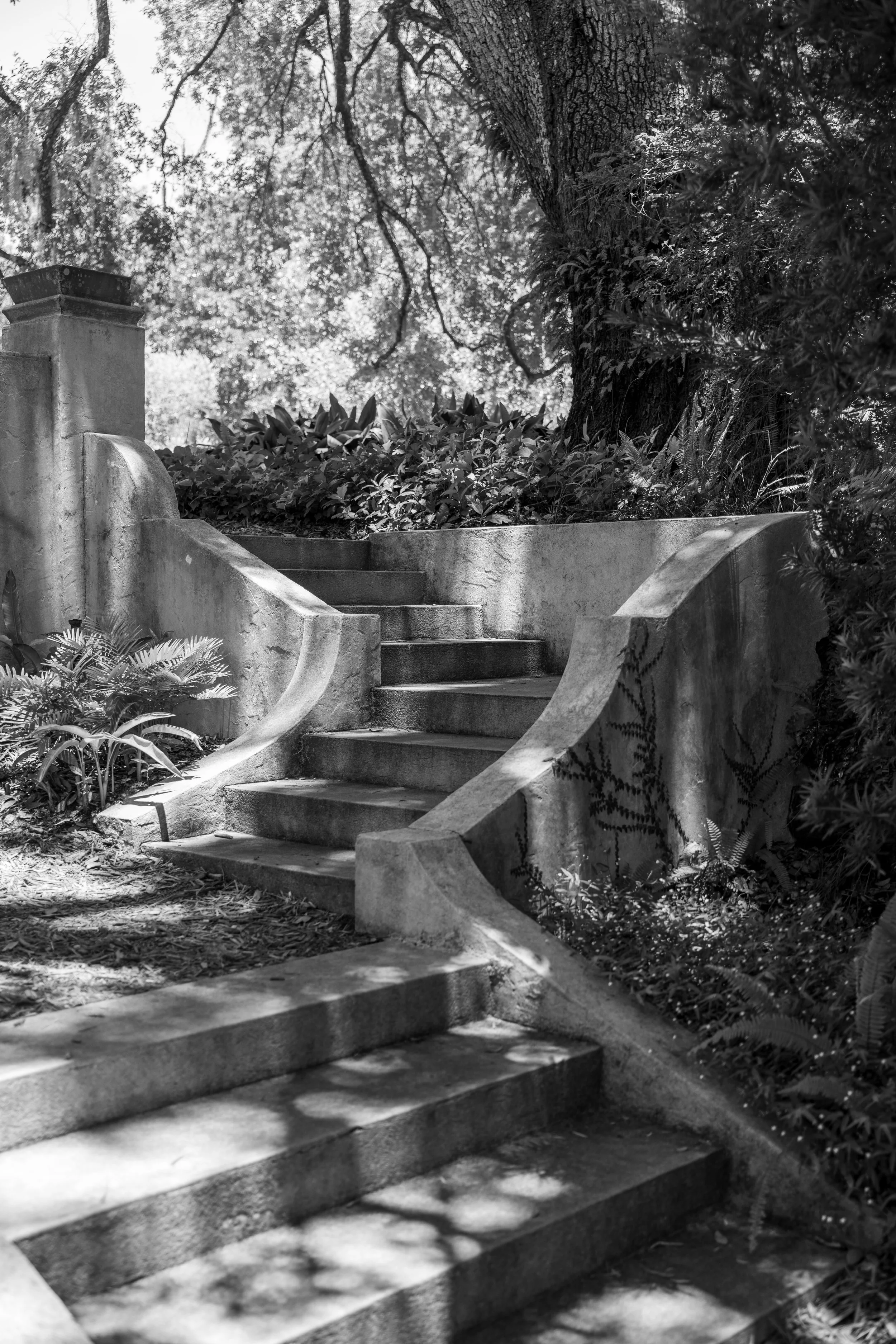 book_tower_gardens_2026-8.jpg
