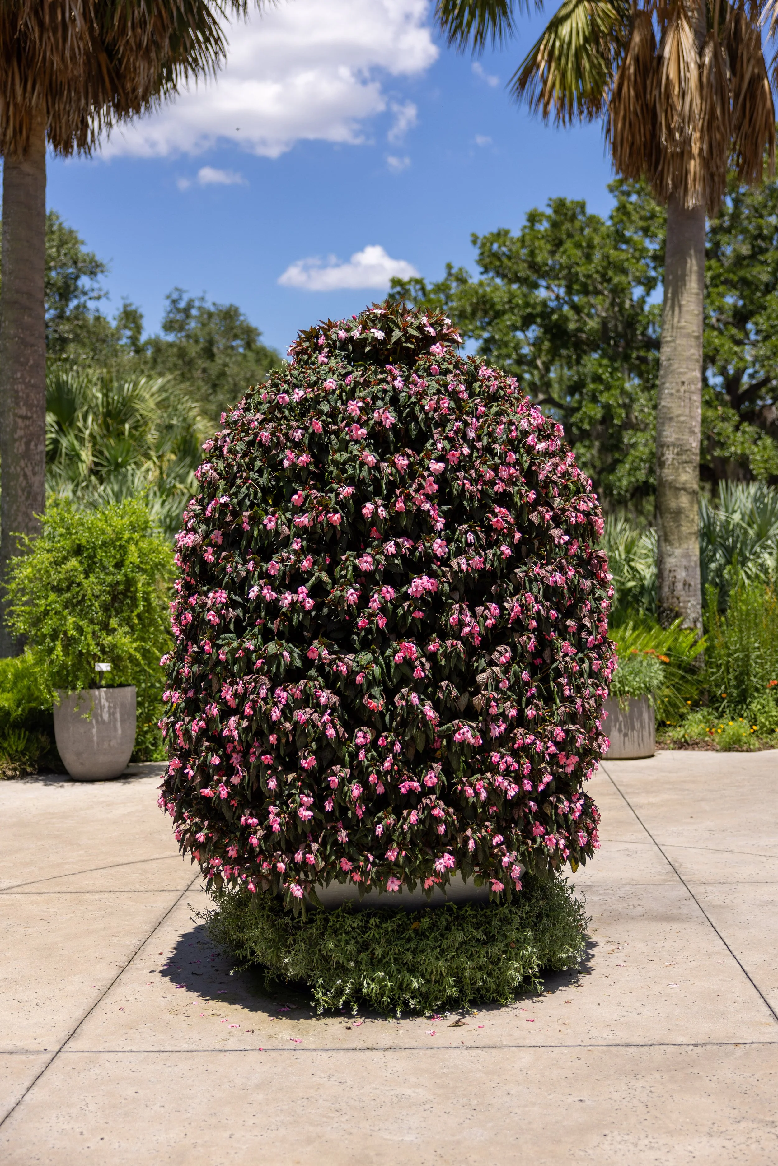 book_tower_gardens_2026-12.jpg