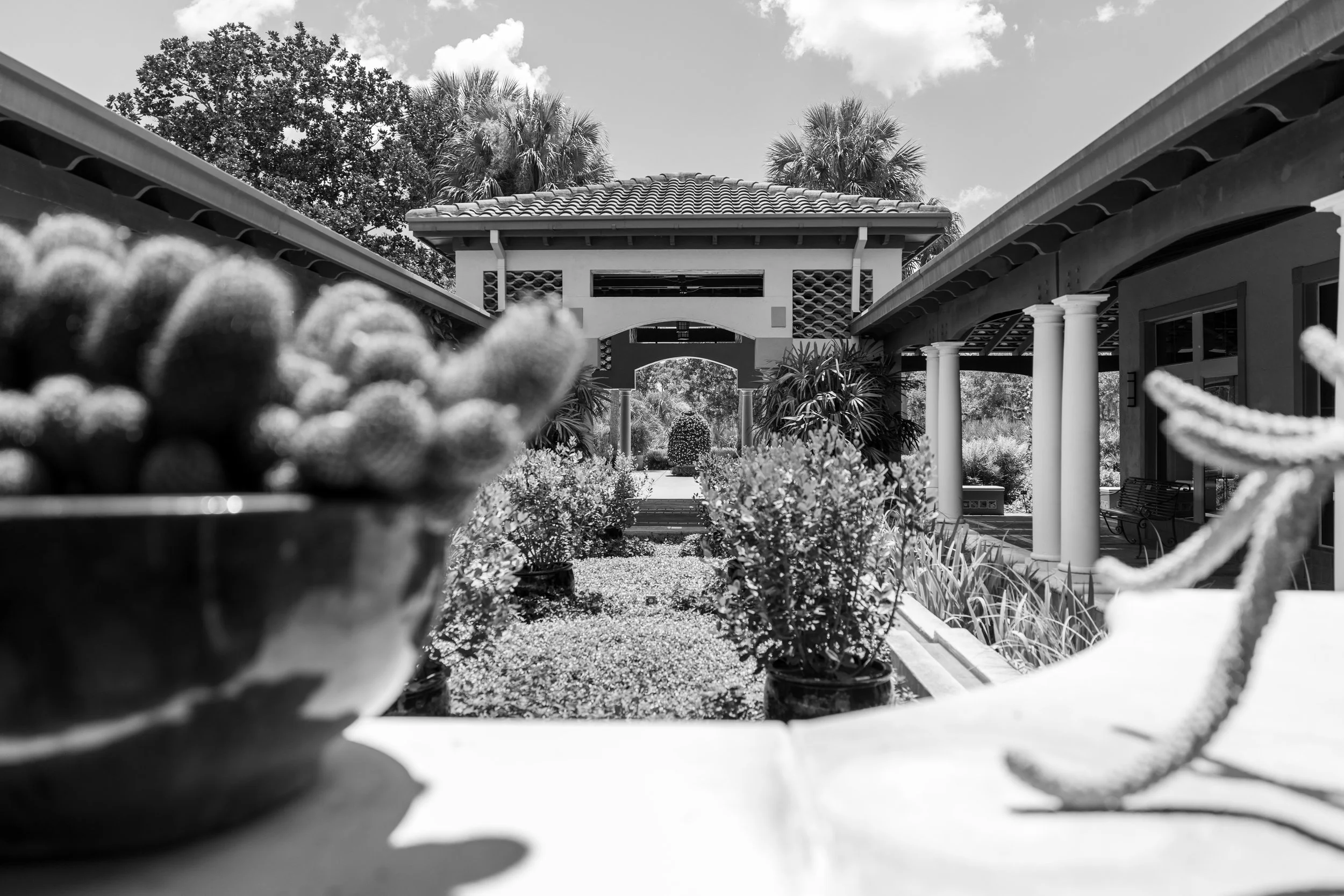 book_tower_gardens_2026.jpg