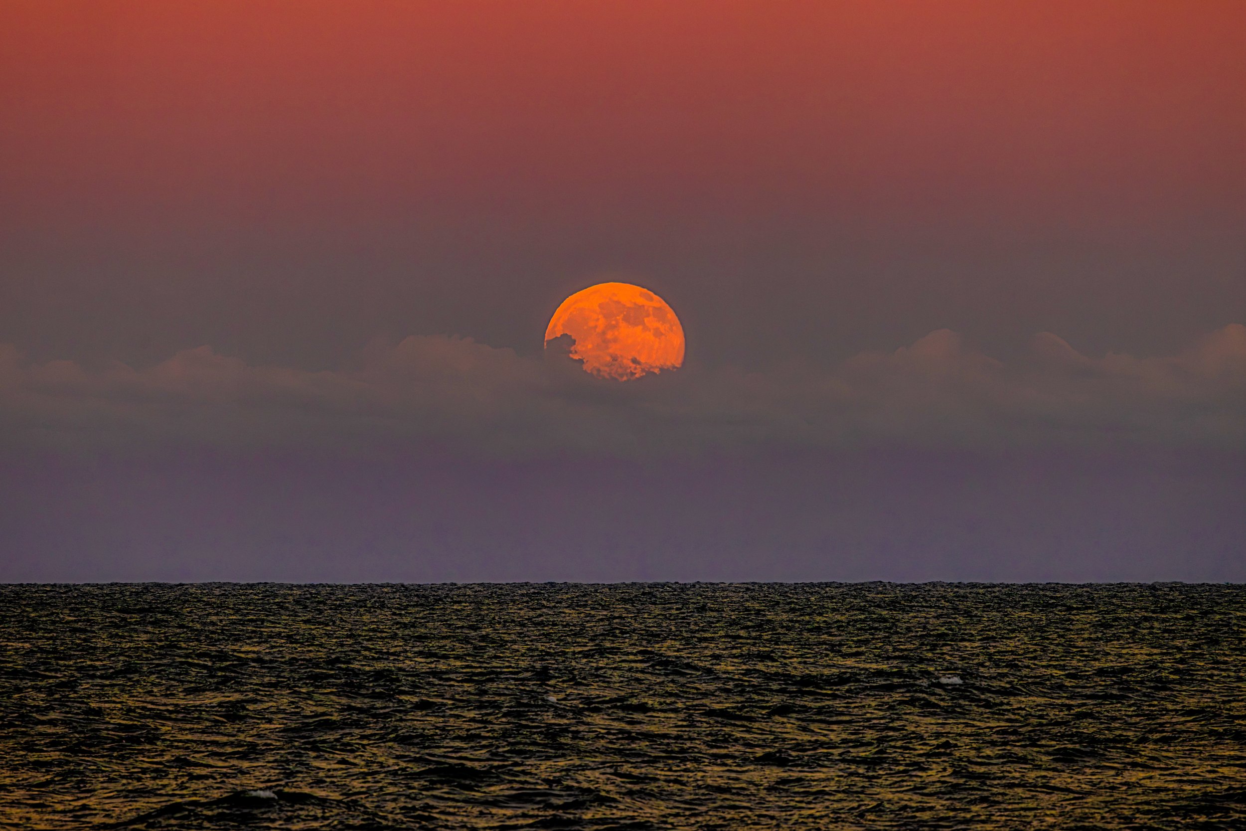 HarvestMoon_09262026_v2.jpeg