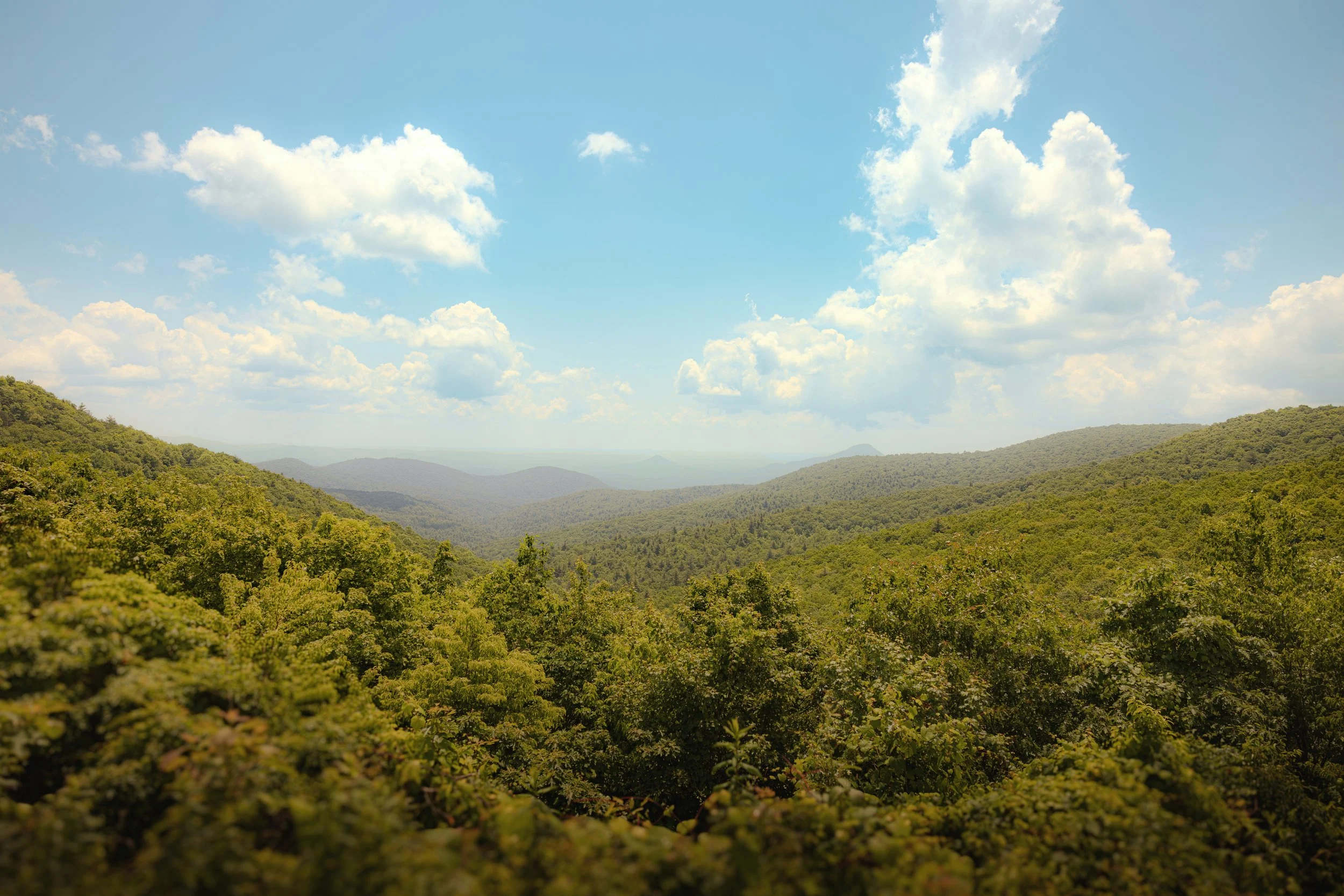 AppalachianLandscape.jpeg