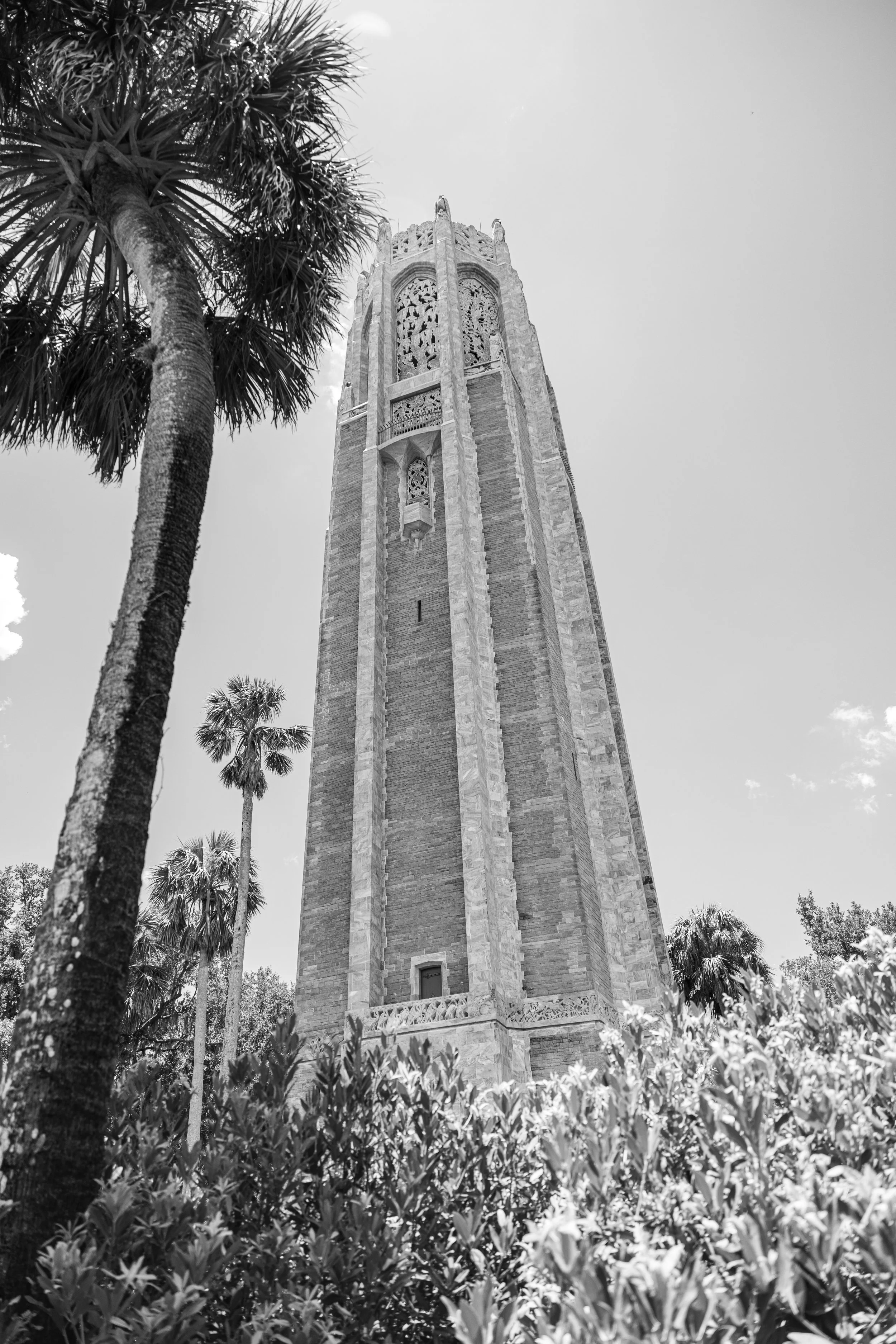 book_tower_gardens_2026-4.jpg