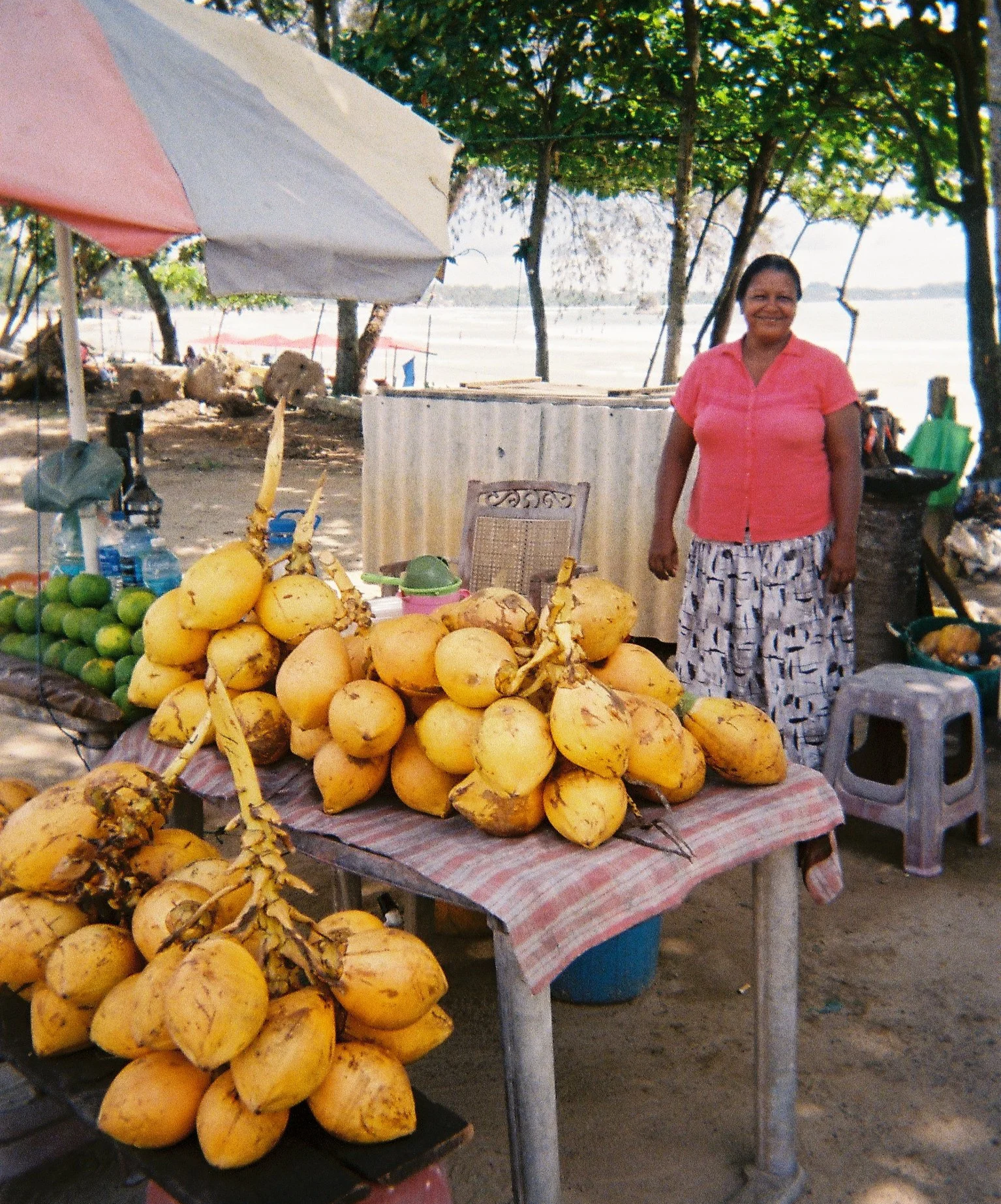 A woman standing next to a table filled with yellow coconuts at an outdoor fruit stand by the water, with trees in the background.