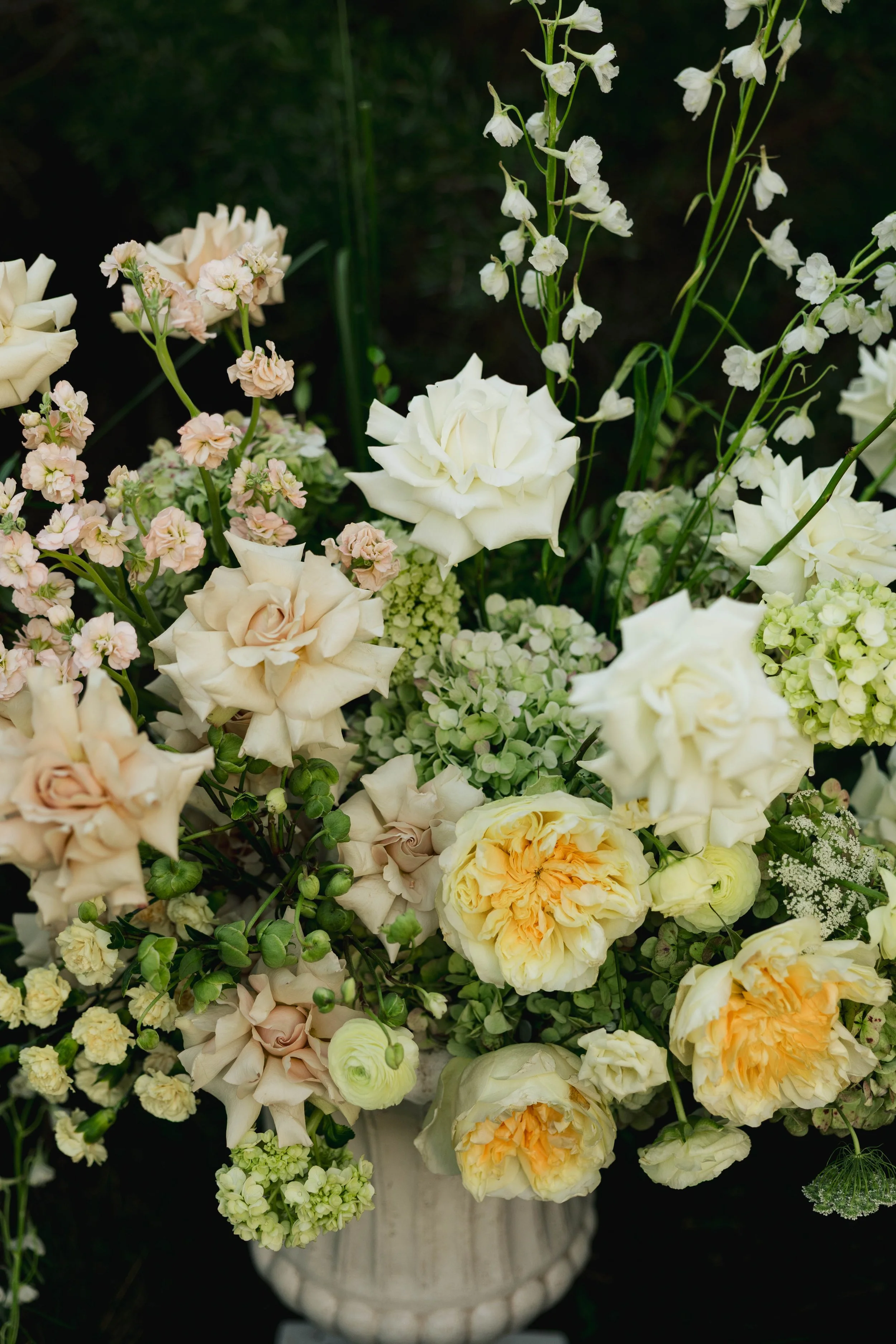 1X4A1666.jpg
