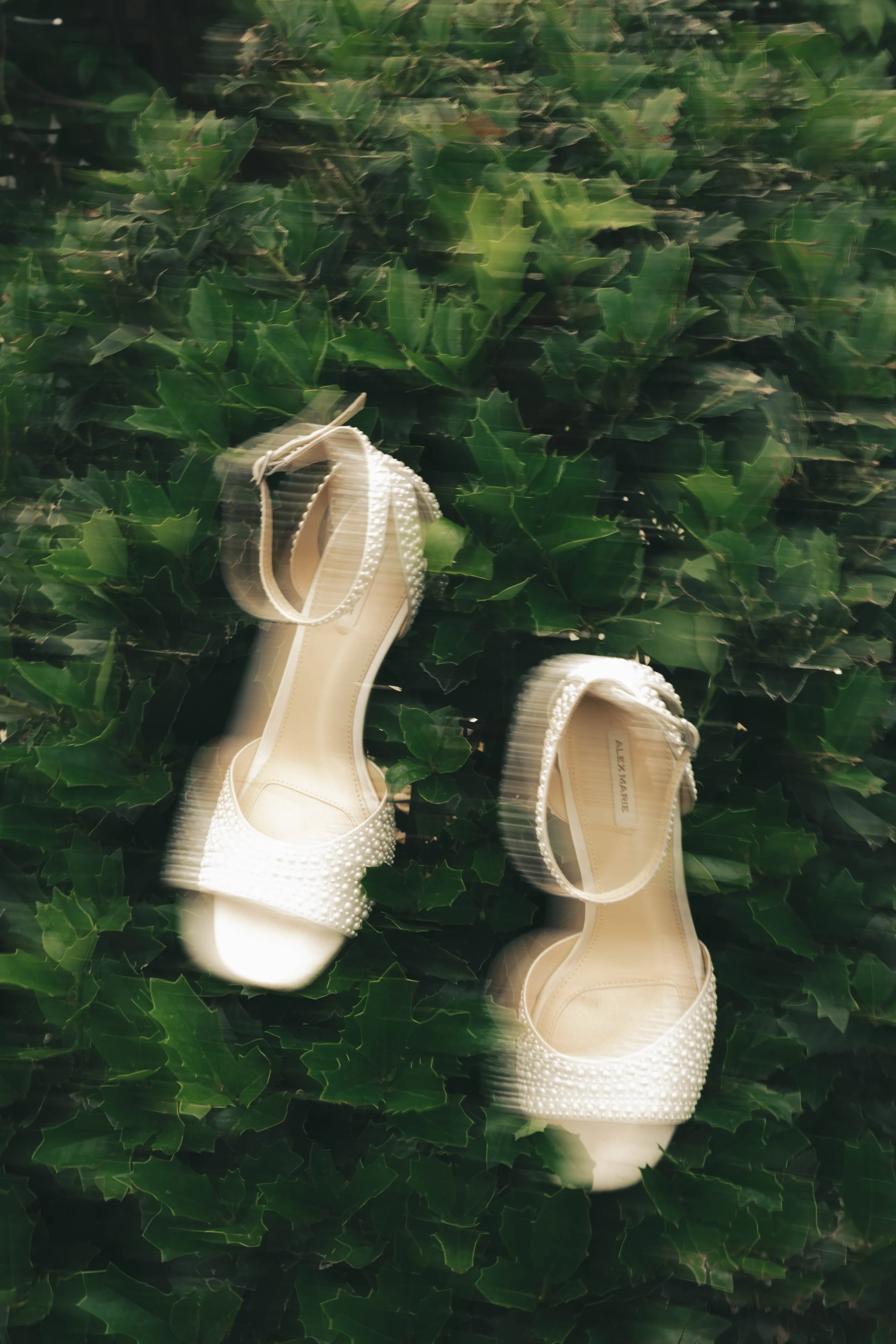 A pair of white high-heeled shoes with pearl embellishments on the toes, hanging on a green leafy hedge.