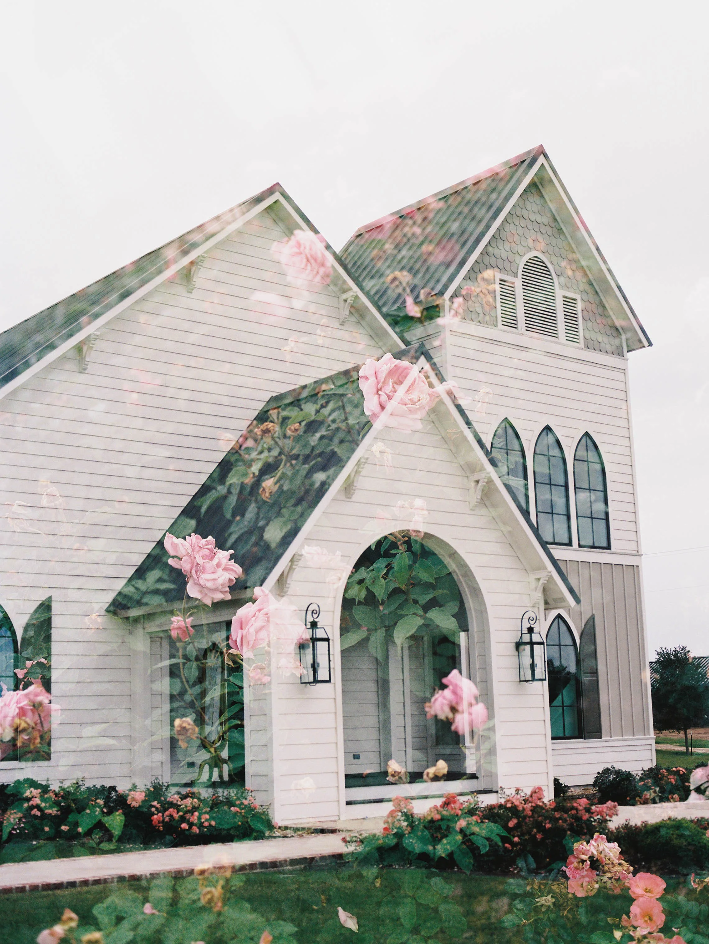 A white church with a steep roof, large arched windows, and pink roses in the foreground, with a reflection of the church and flowers on a window.